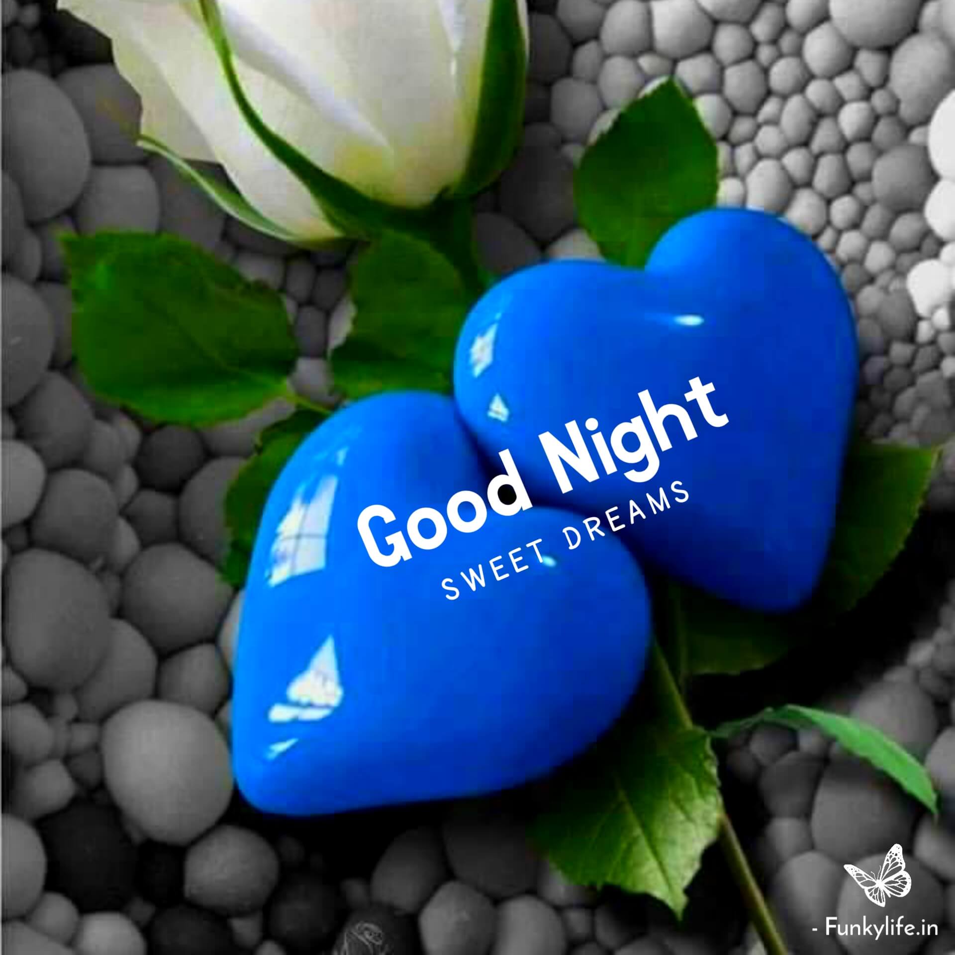 Good Night Sweet Dreams Pic