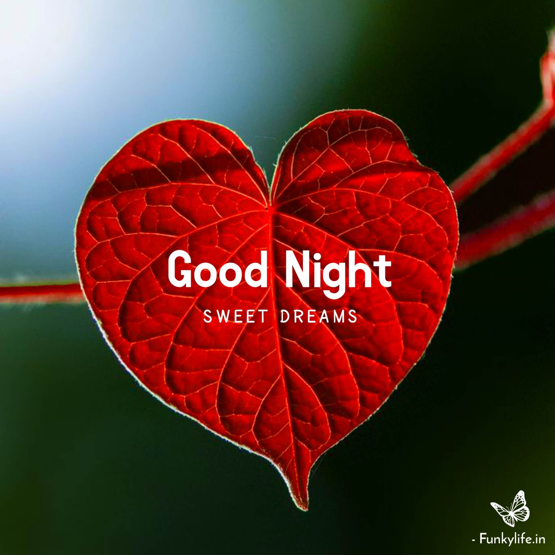 Images simple good night 80+ Inspirational