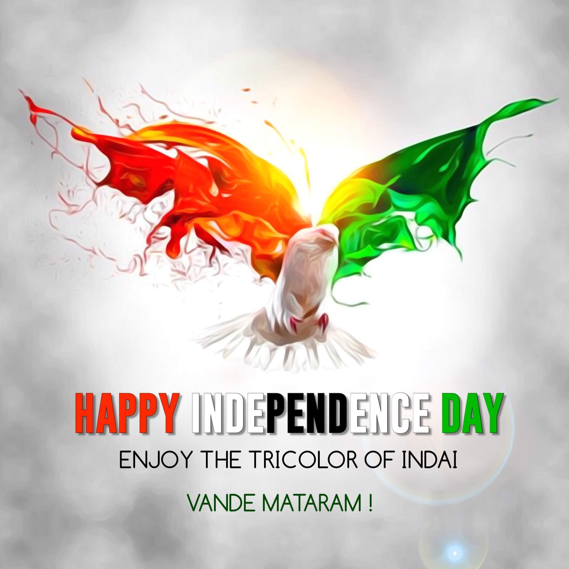 Creative Tricolor Independence Day