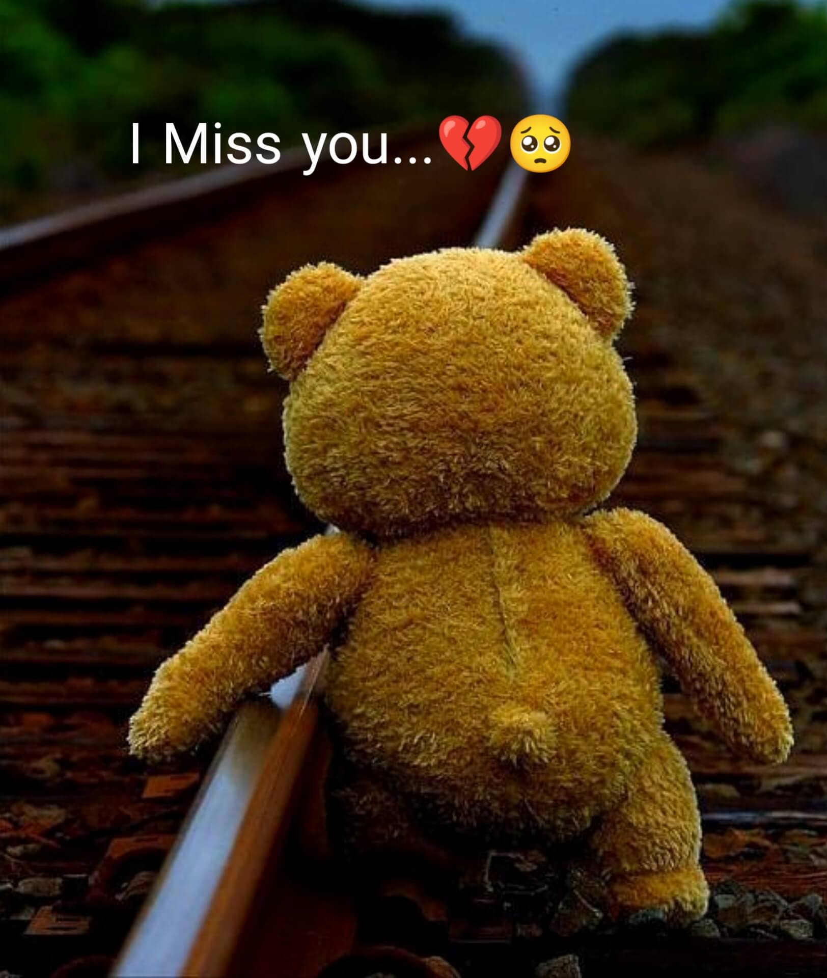 I Miss You Teddy WhatsApp DP