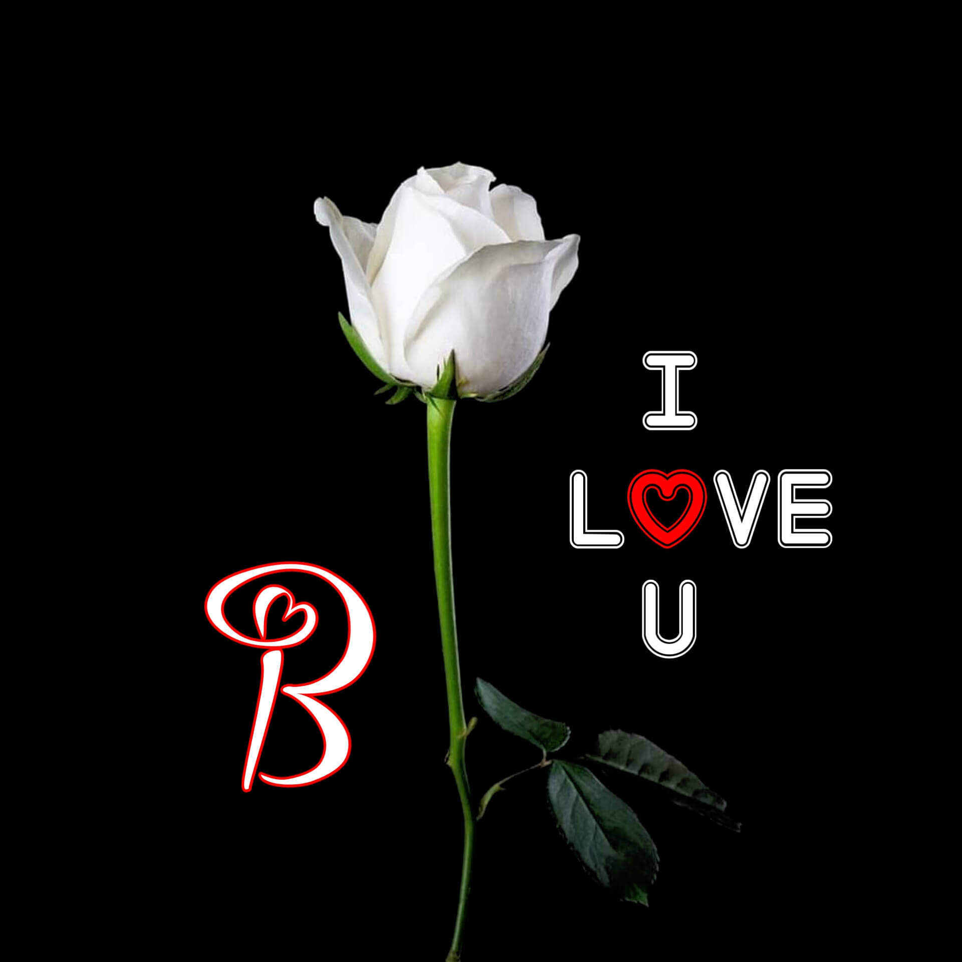 B Letter DP