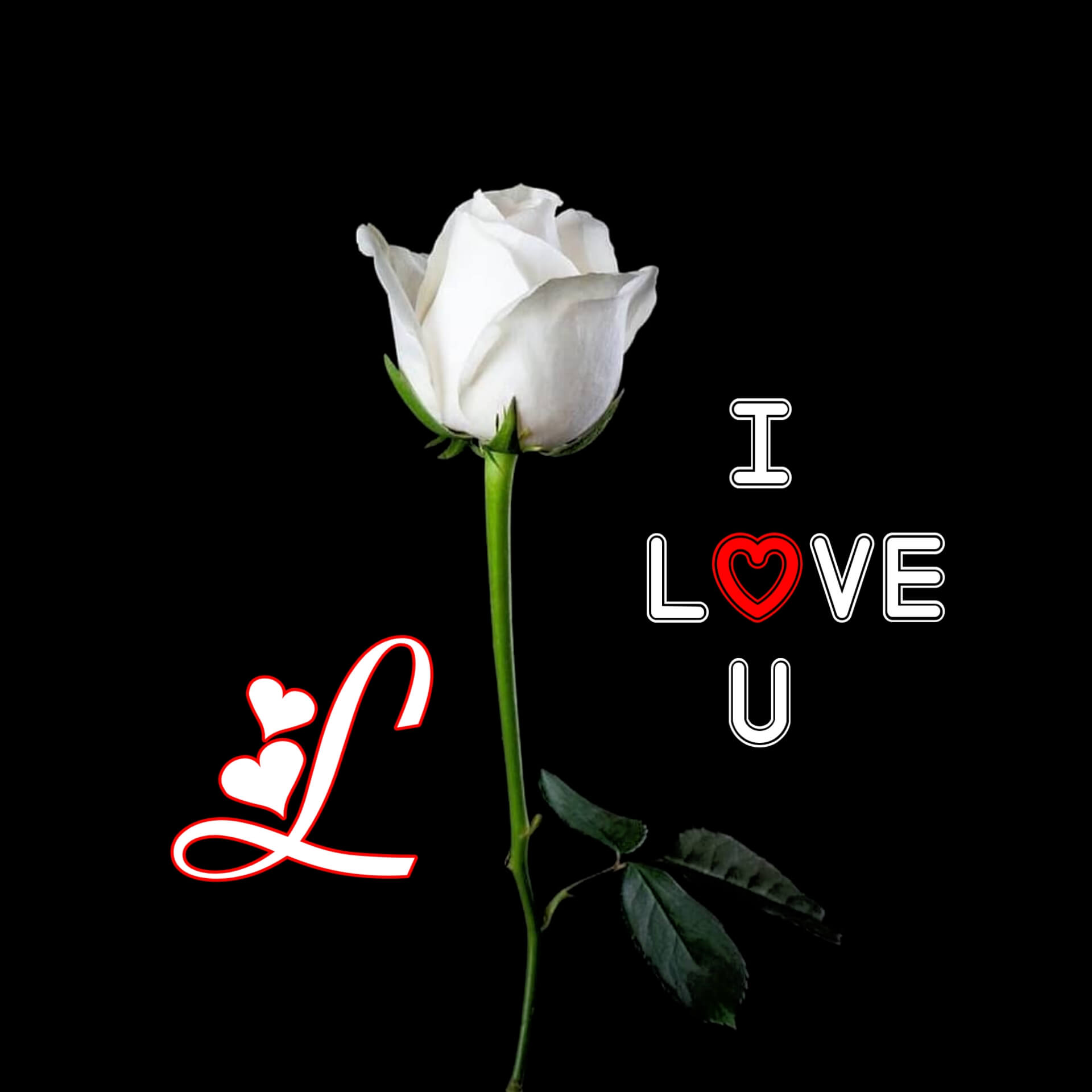 L Letter Love DP