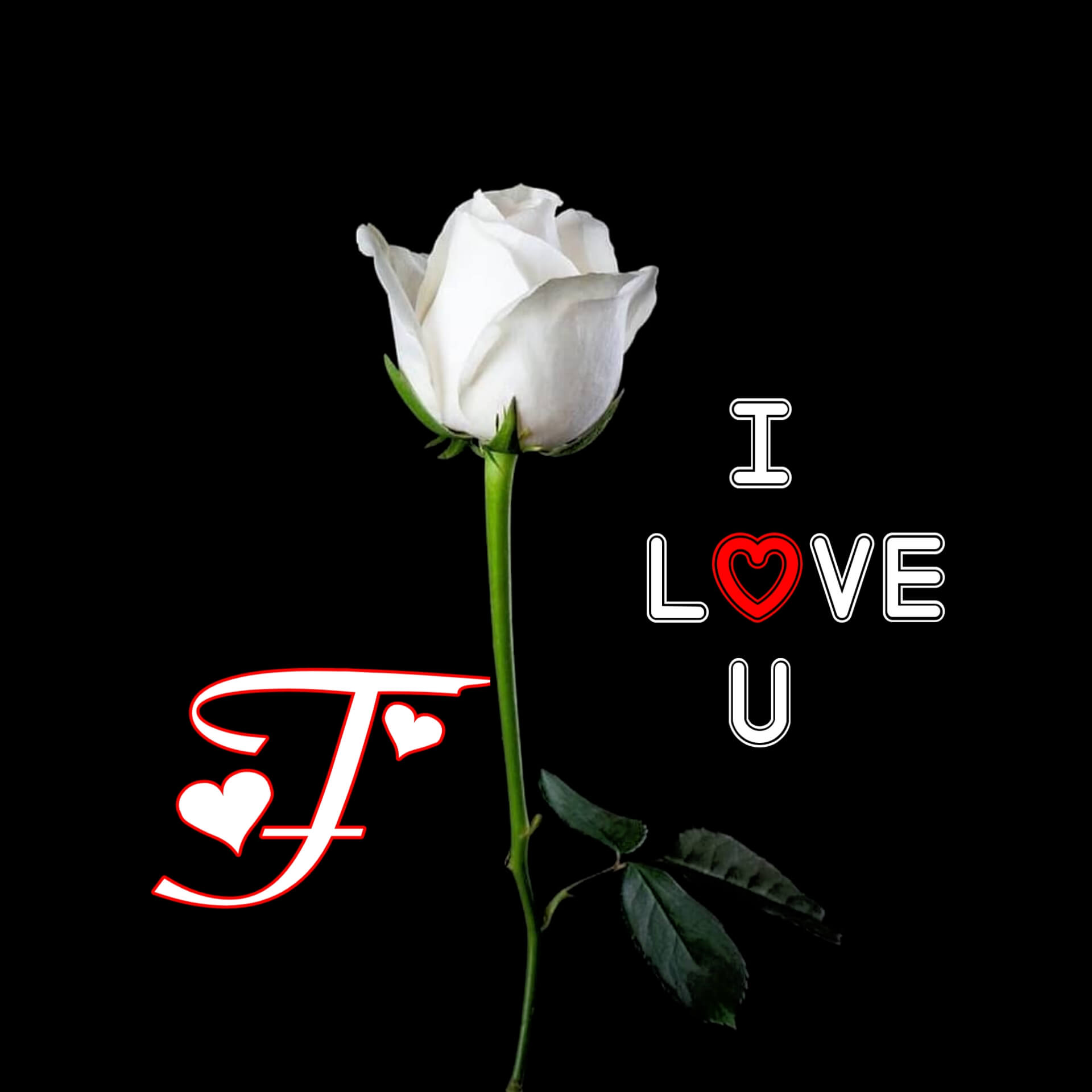 F Letter Love DP