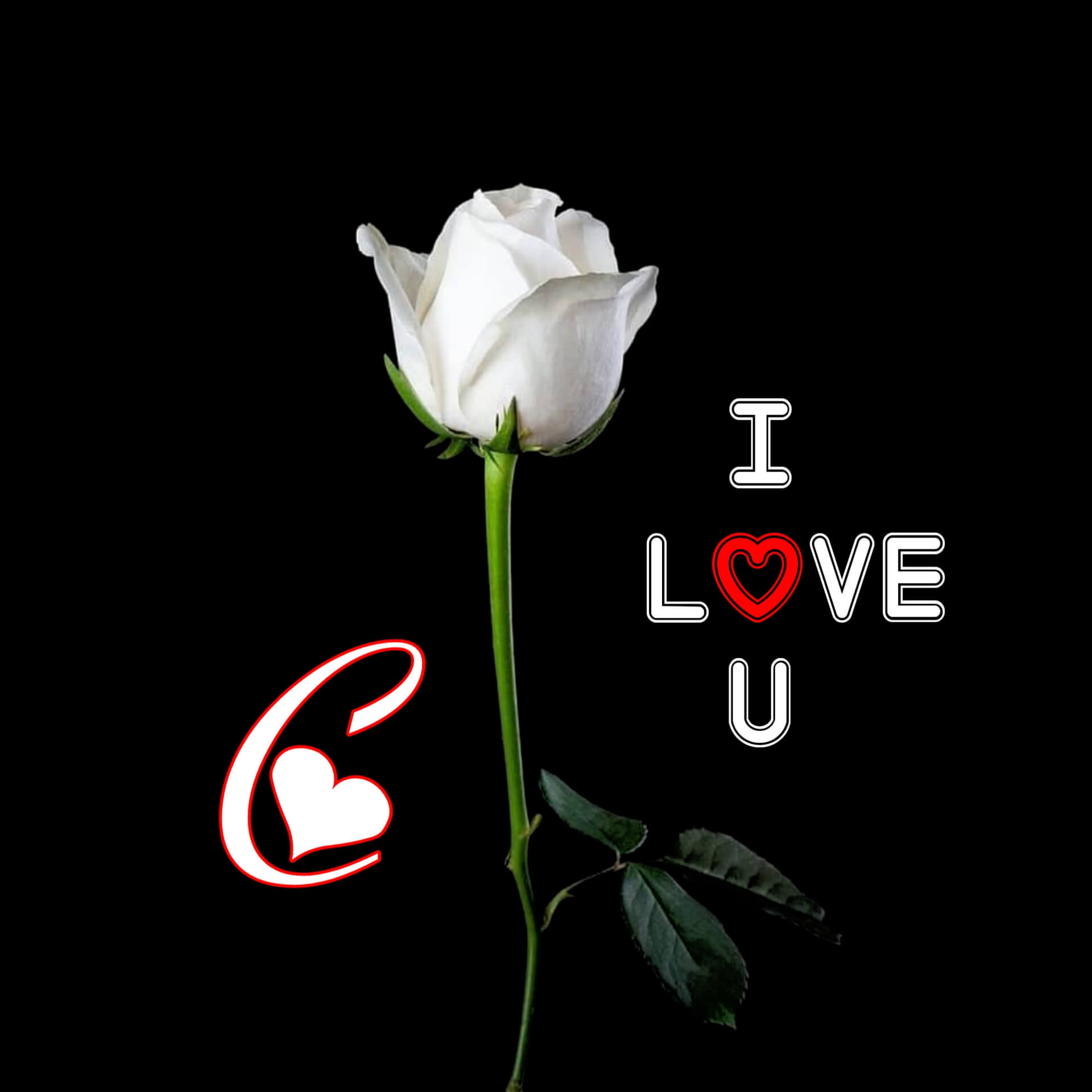 C Letter Love DP