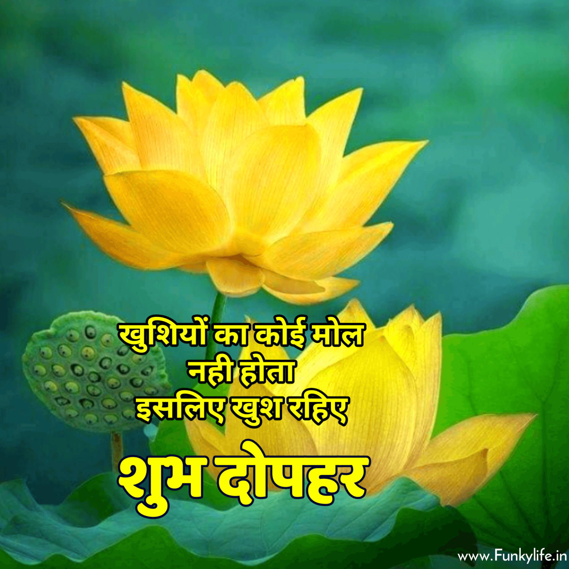 Good Afternoon Image with Quotes in Hindi