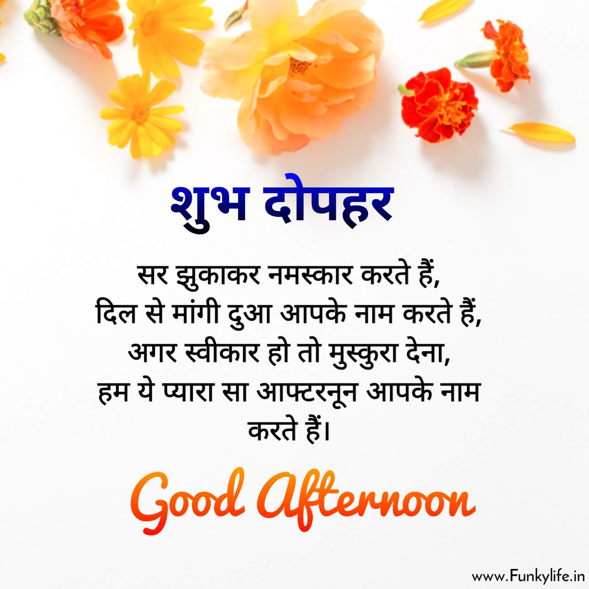 Shubh Dopahar Good Afternoon Image With Quote in Hindi