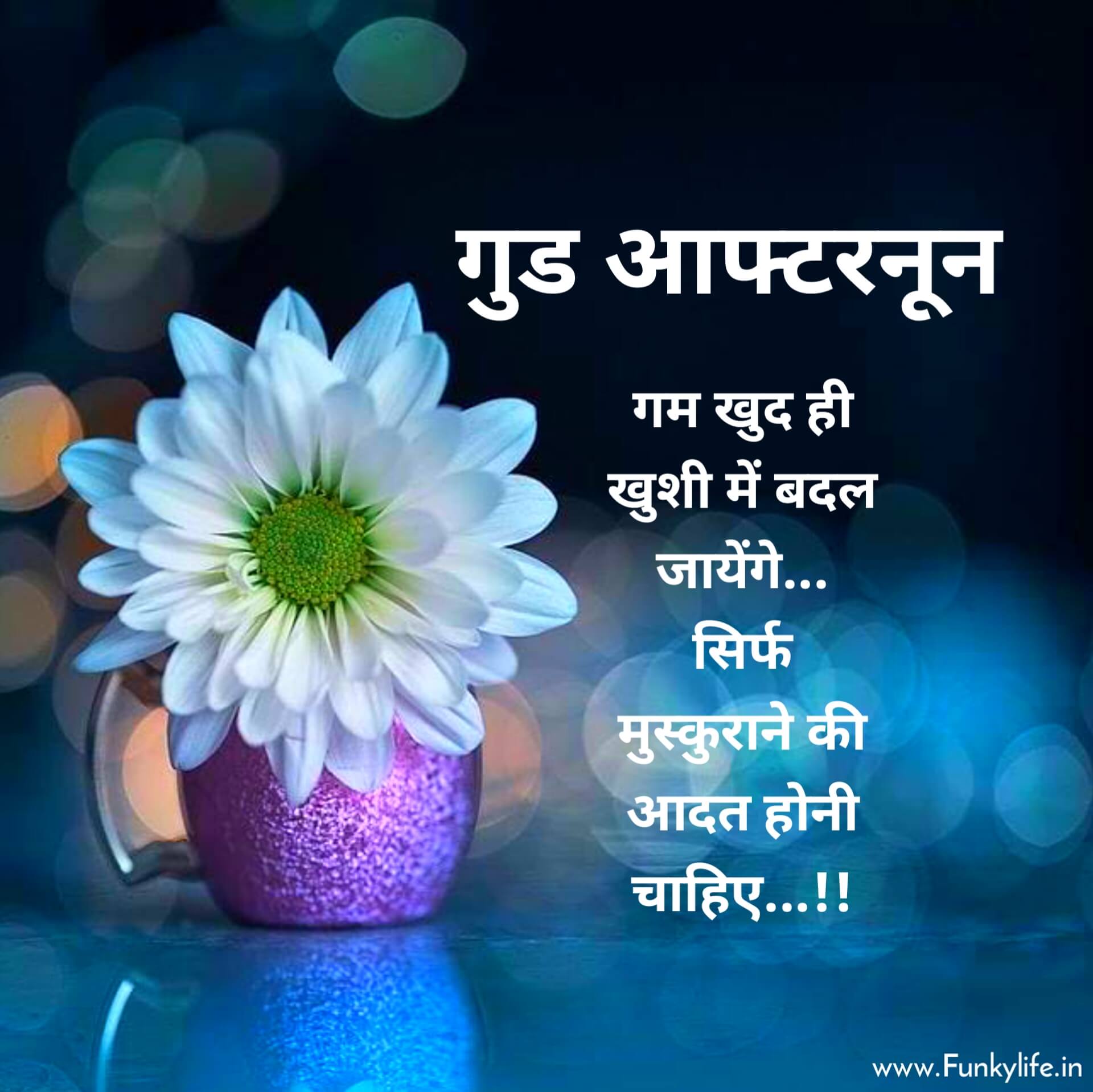 Good Afternoon Image with Quotes in Hindi