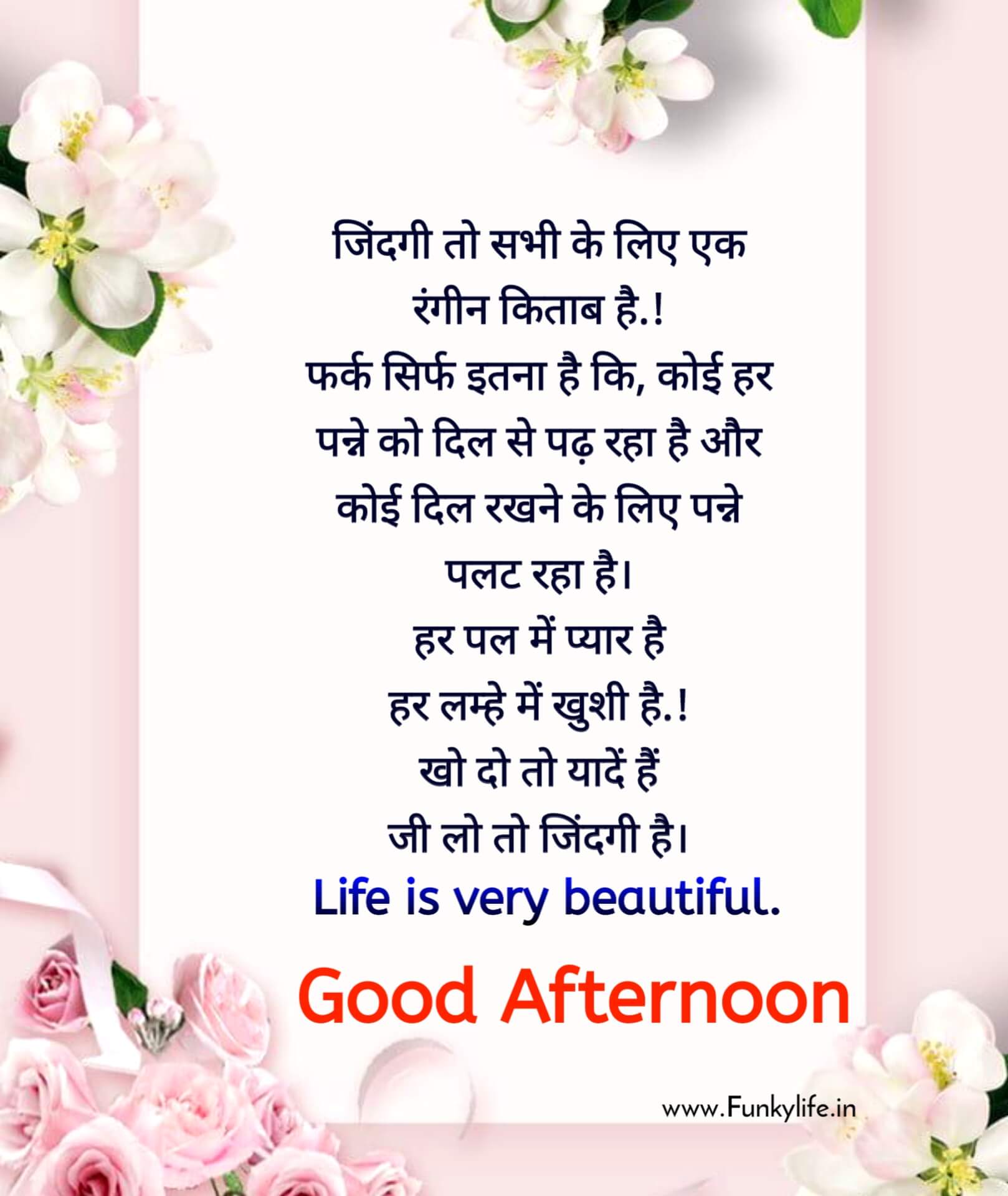 Good Afternoon Image with Quotes in Hindi