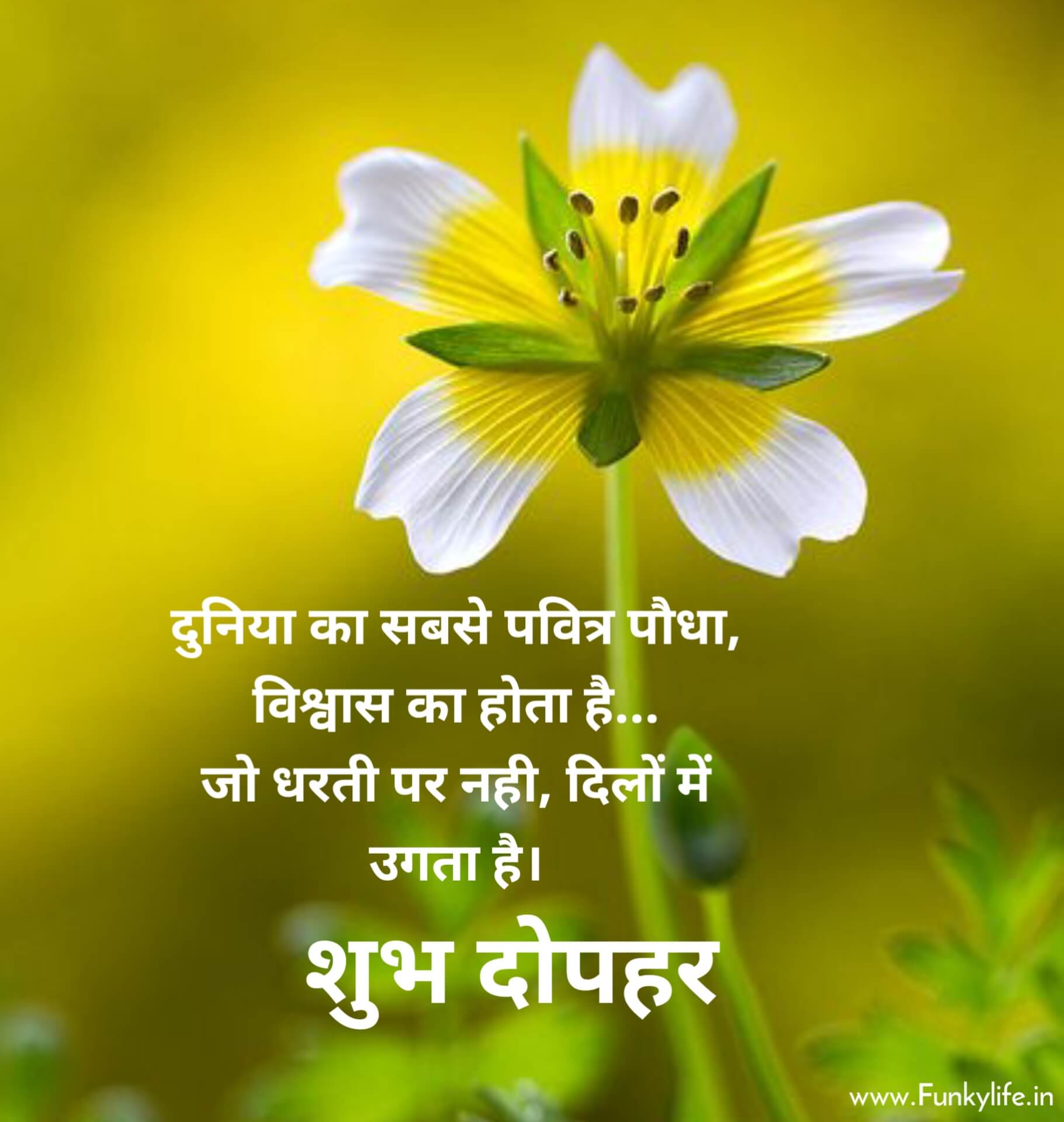 Shubh Dopahar with Quote in Hindi