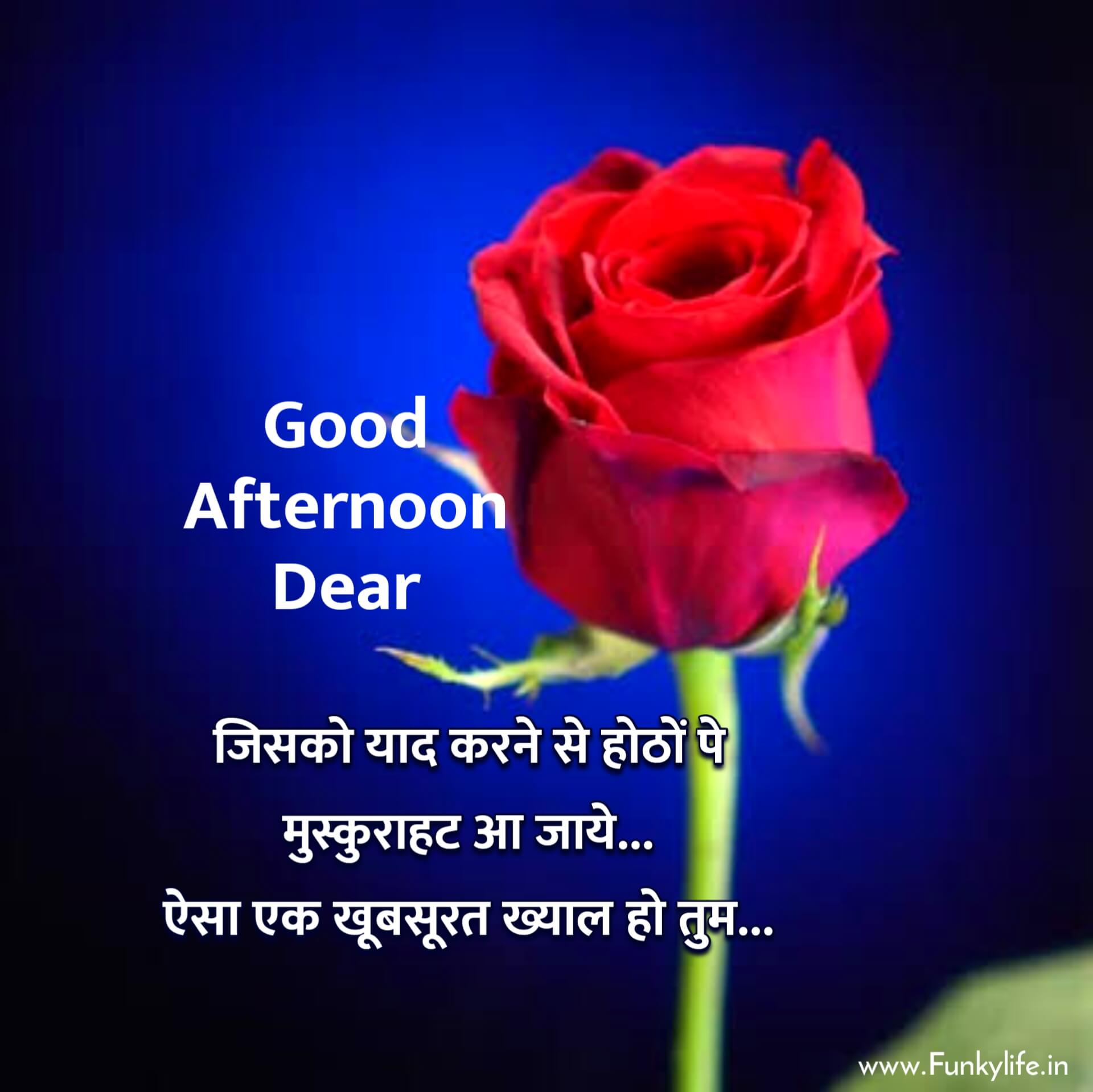 Hindi Lovely Good Afternoon Messages