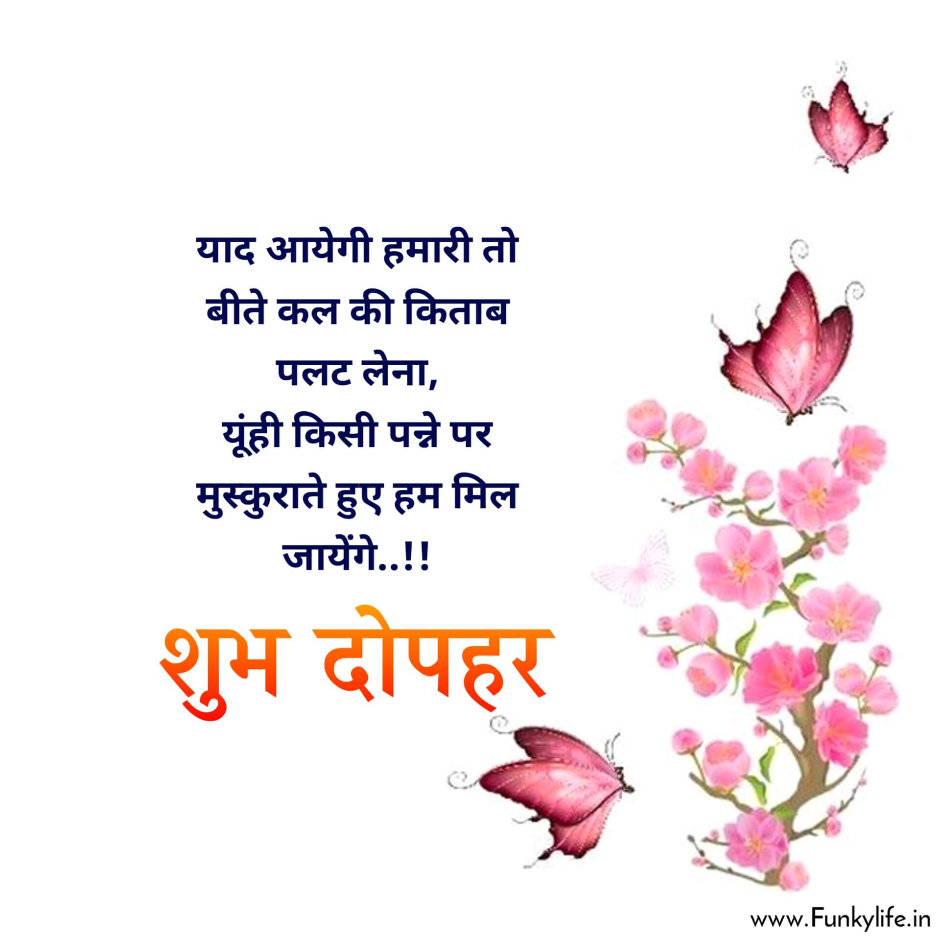 Good Afternoon Image with Quotes in Hindi