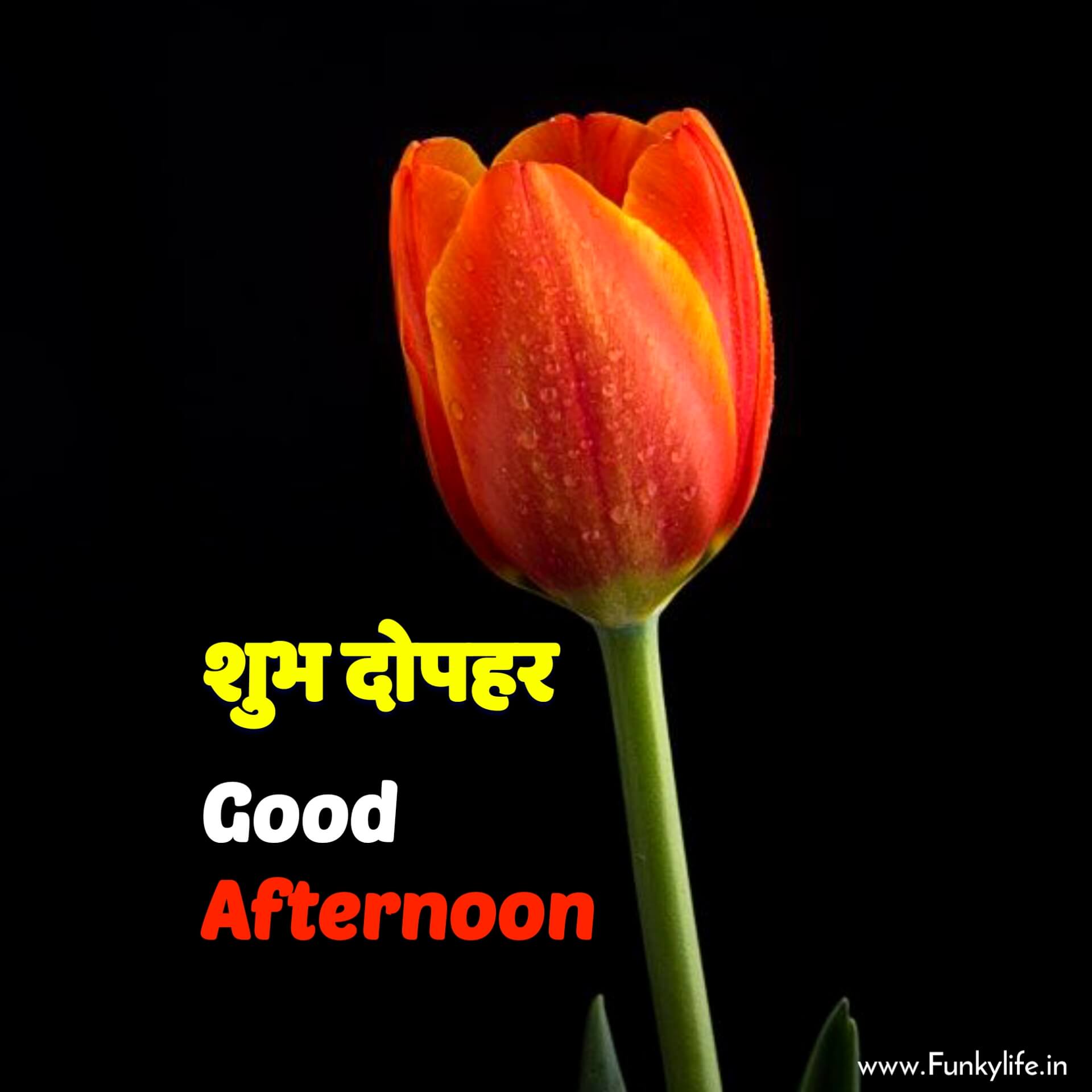 Good Afternoon Images in Hindi