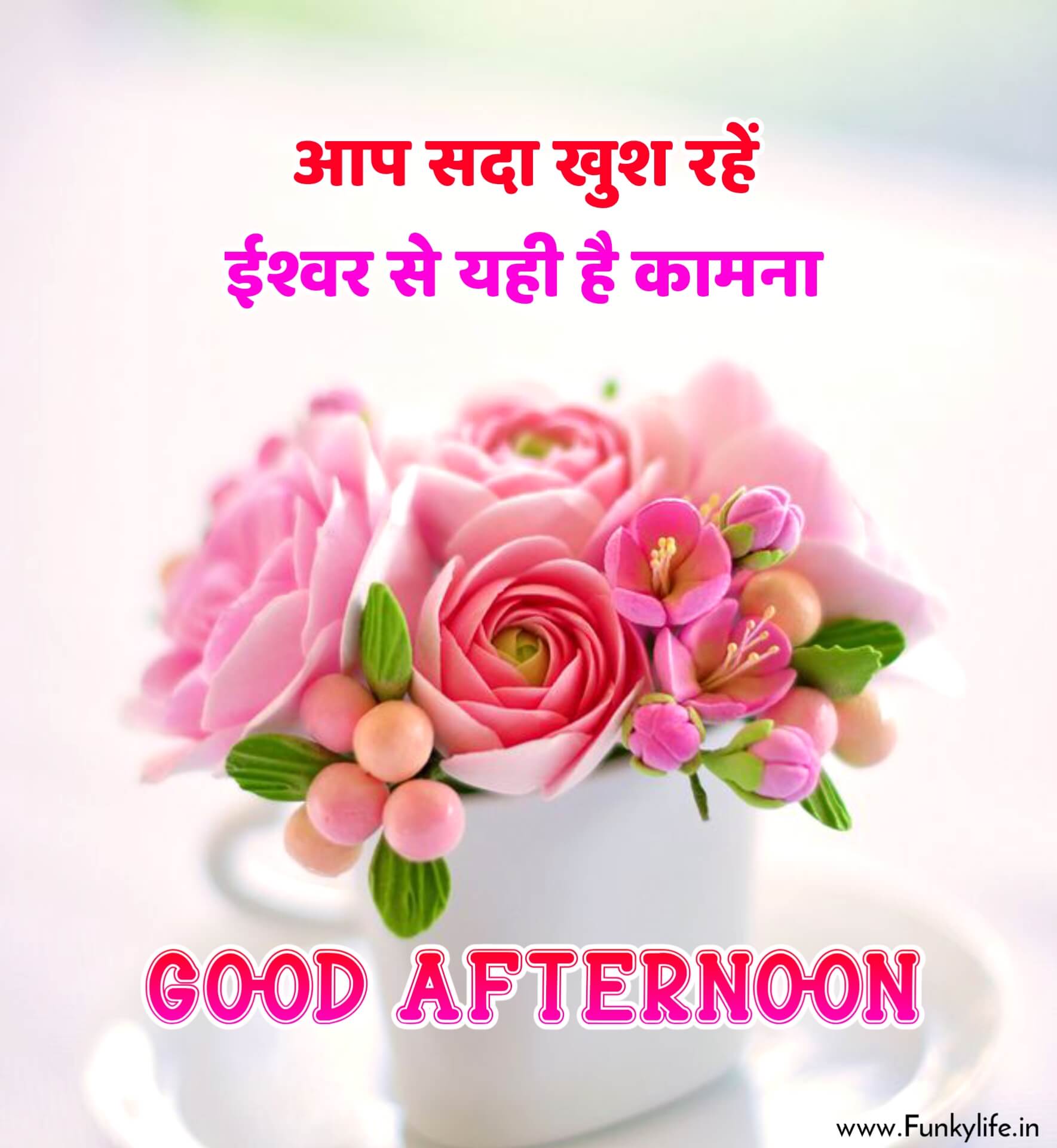 Good Afternoon Images in Hindi