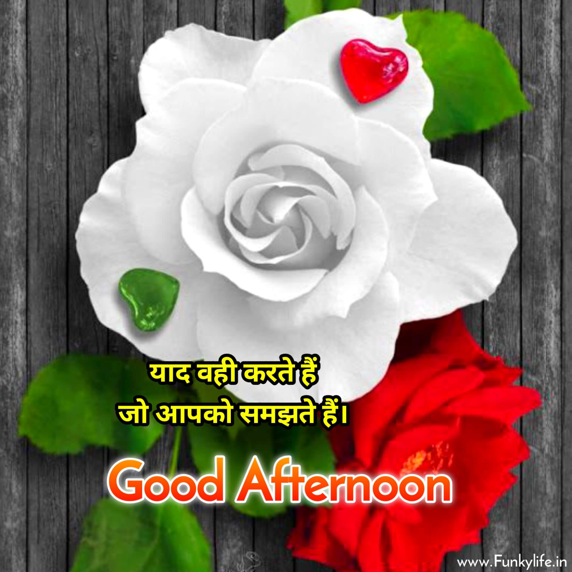 Flower Good Afternoon Image in Hindi