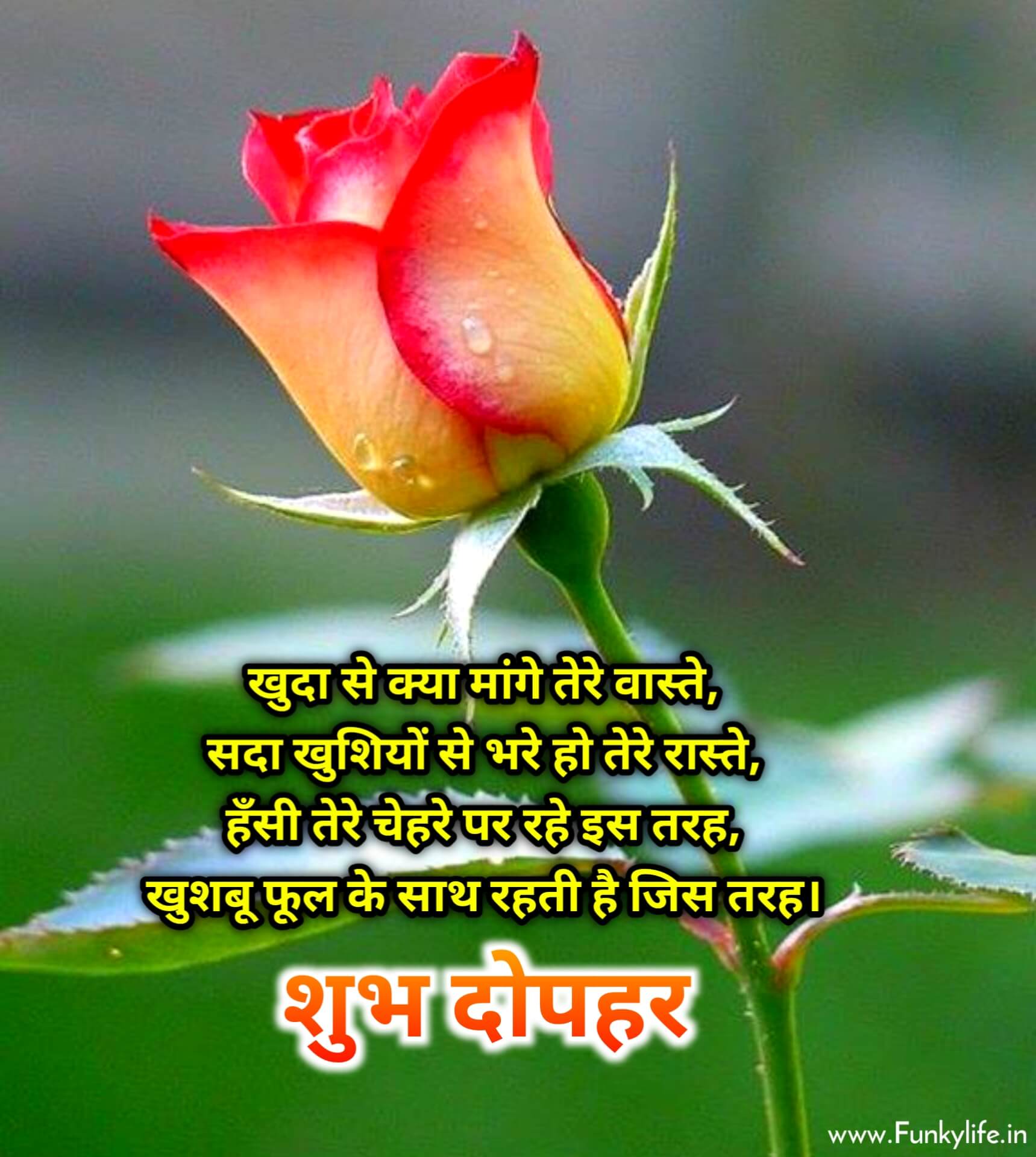 Shubh Dopahar Image with Quote in Hindi