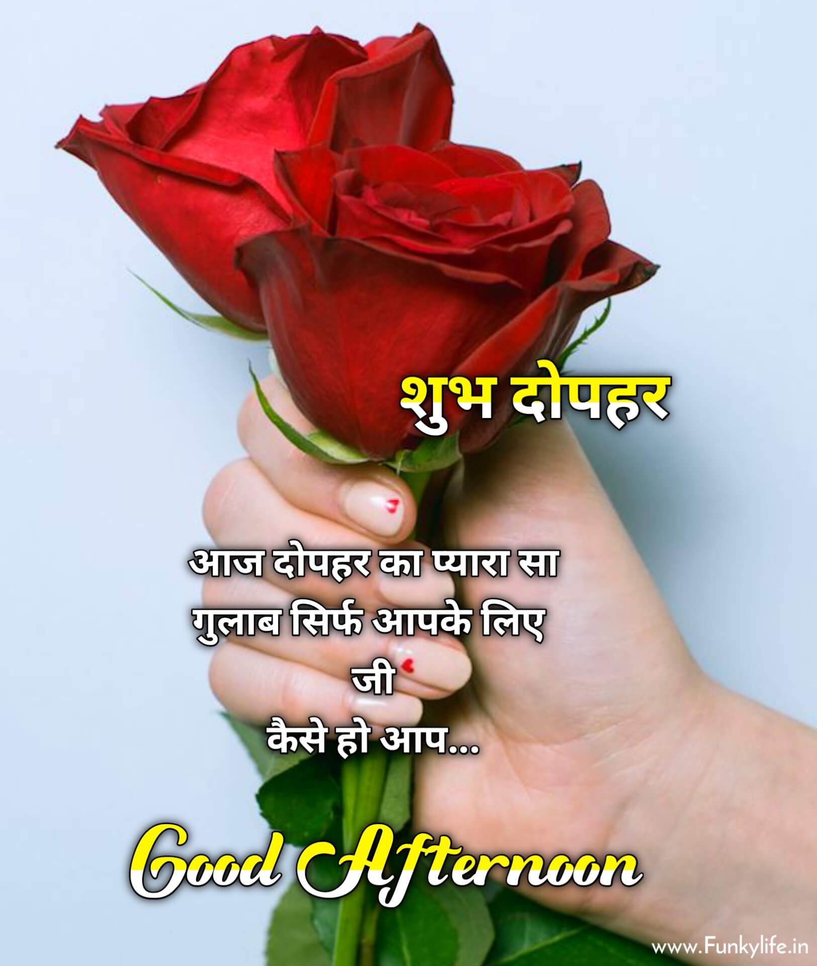 Good Afternoon Image in Hindi