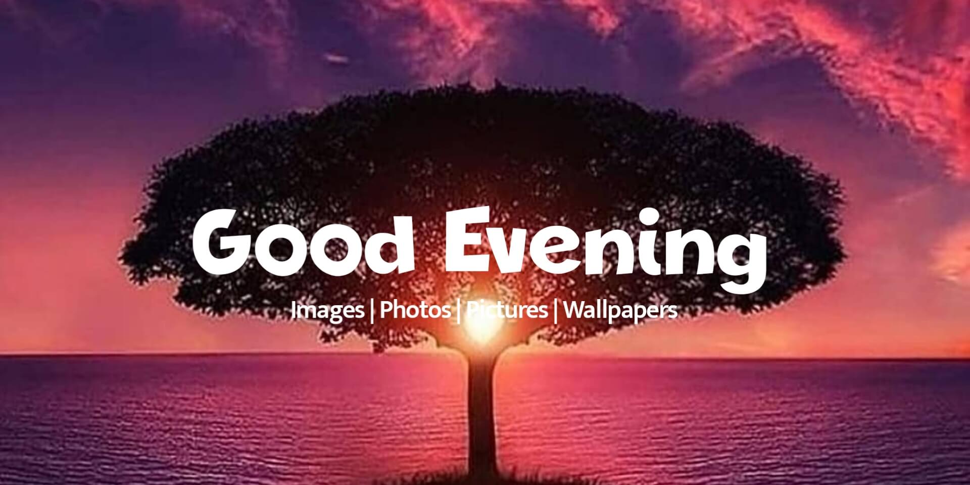 100+ Beautiful Good Evening Images, Photos & Pictures 2023