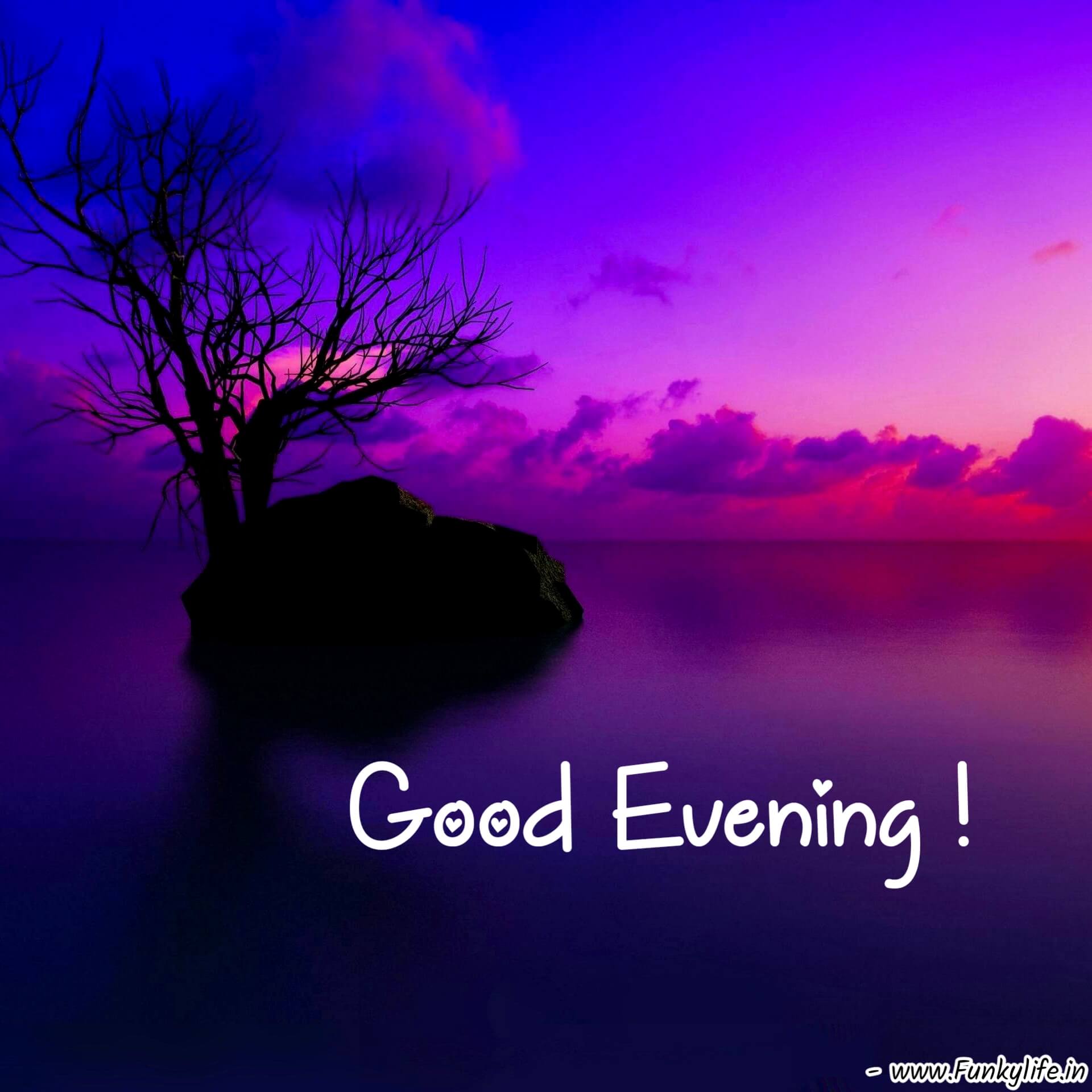 Purple Good Evening Images