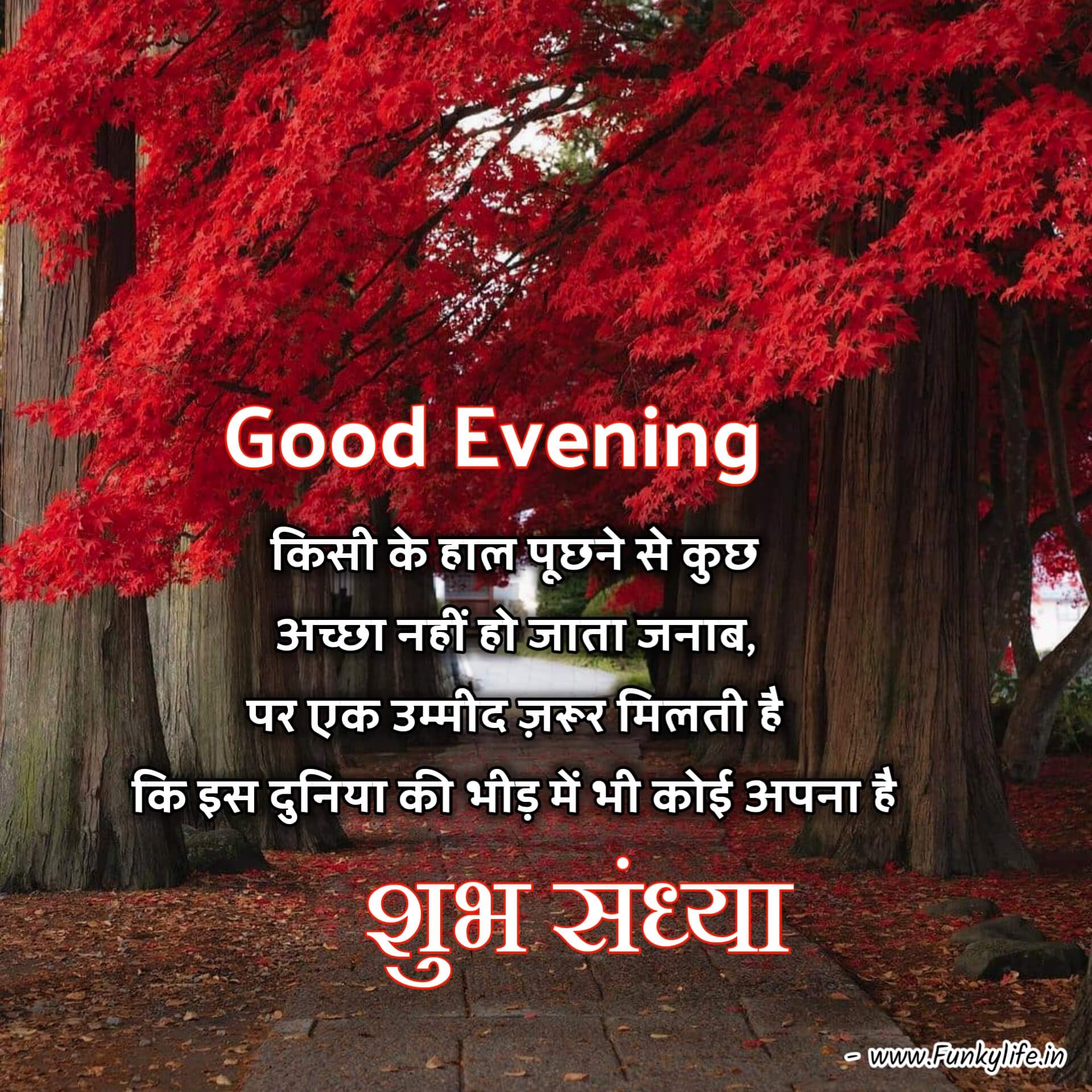 good evening images with quotes in hindi