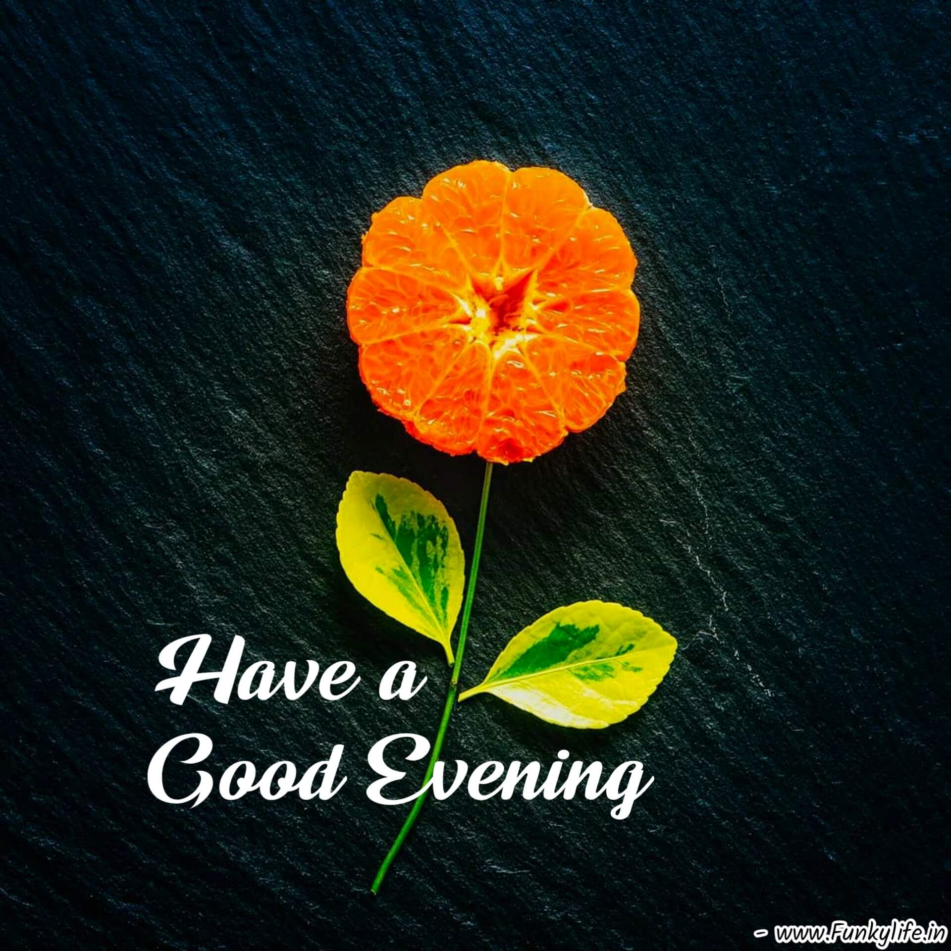 Different Good Evening Images