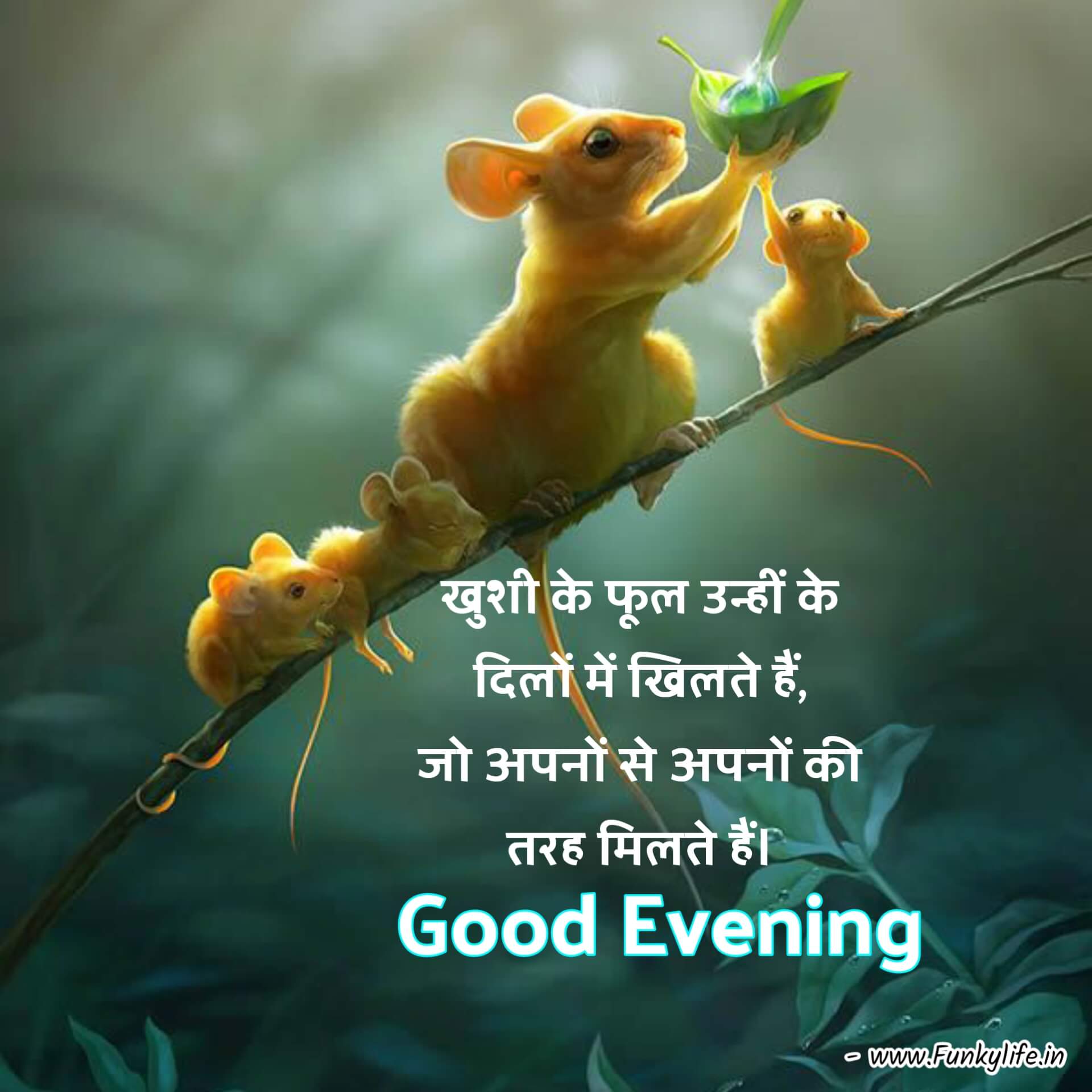 Good Evening Images in Hindi