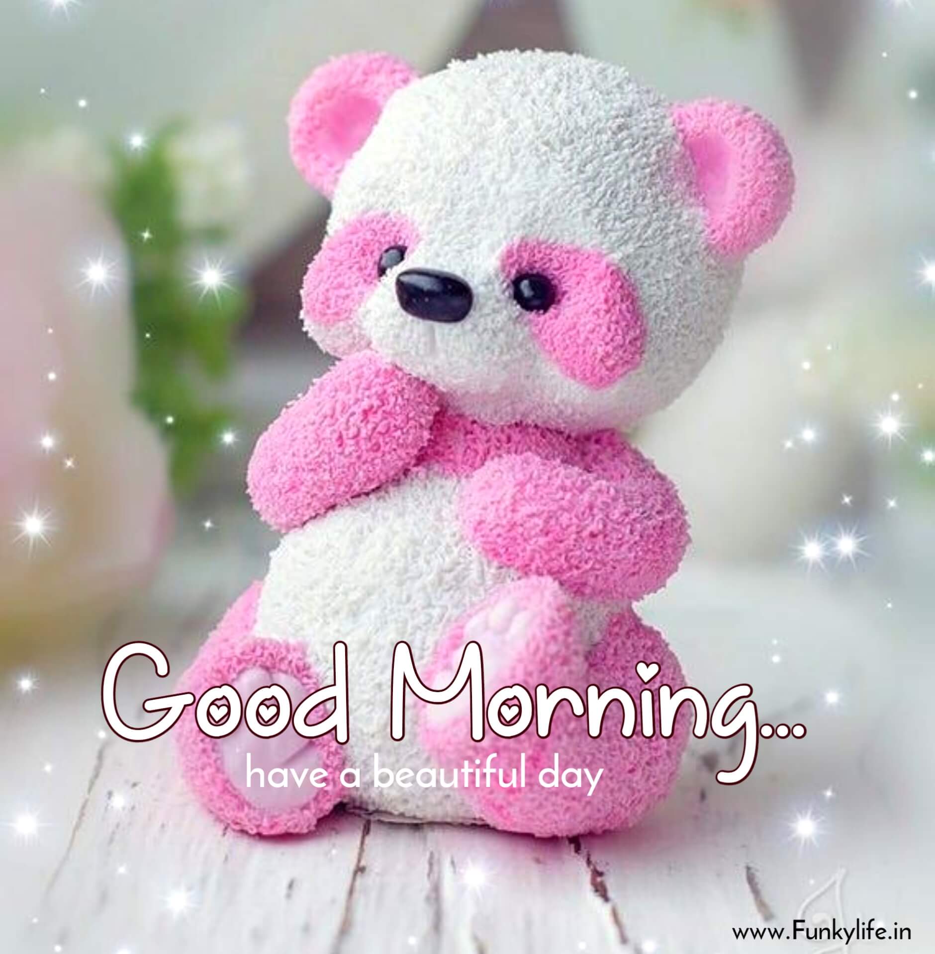 Teddy Bear Good Morning Images