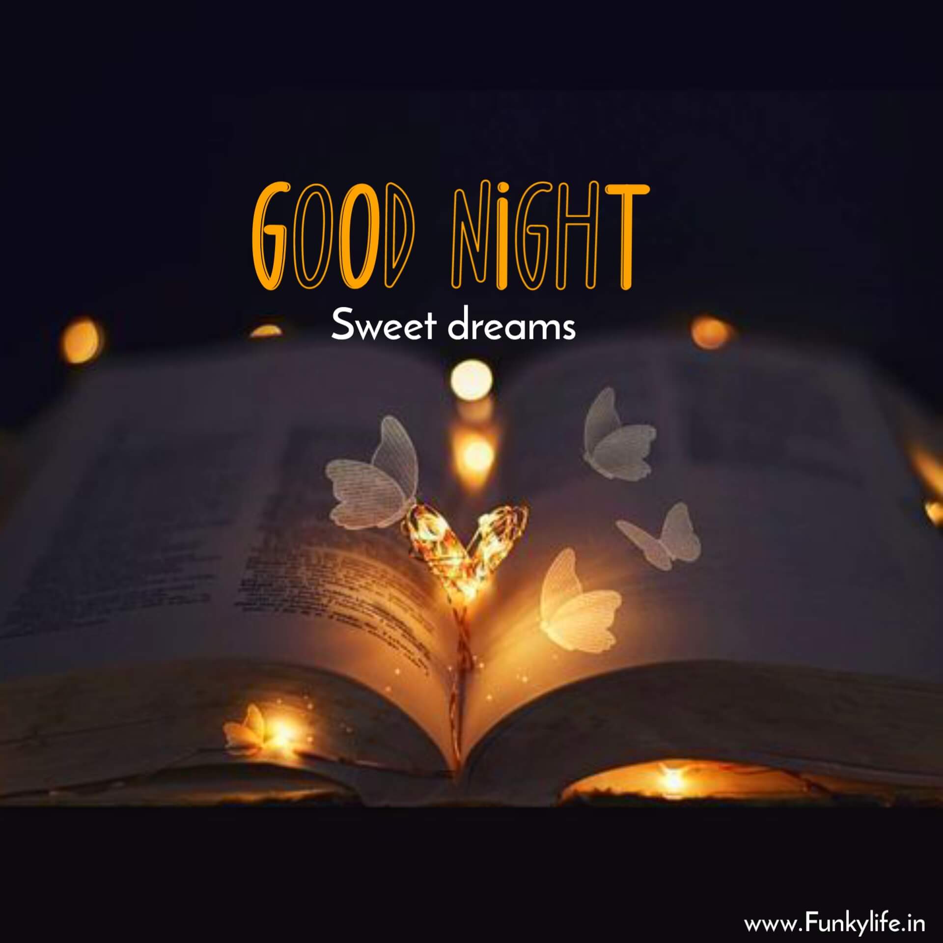 Sweet Dreams Good Night Photo