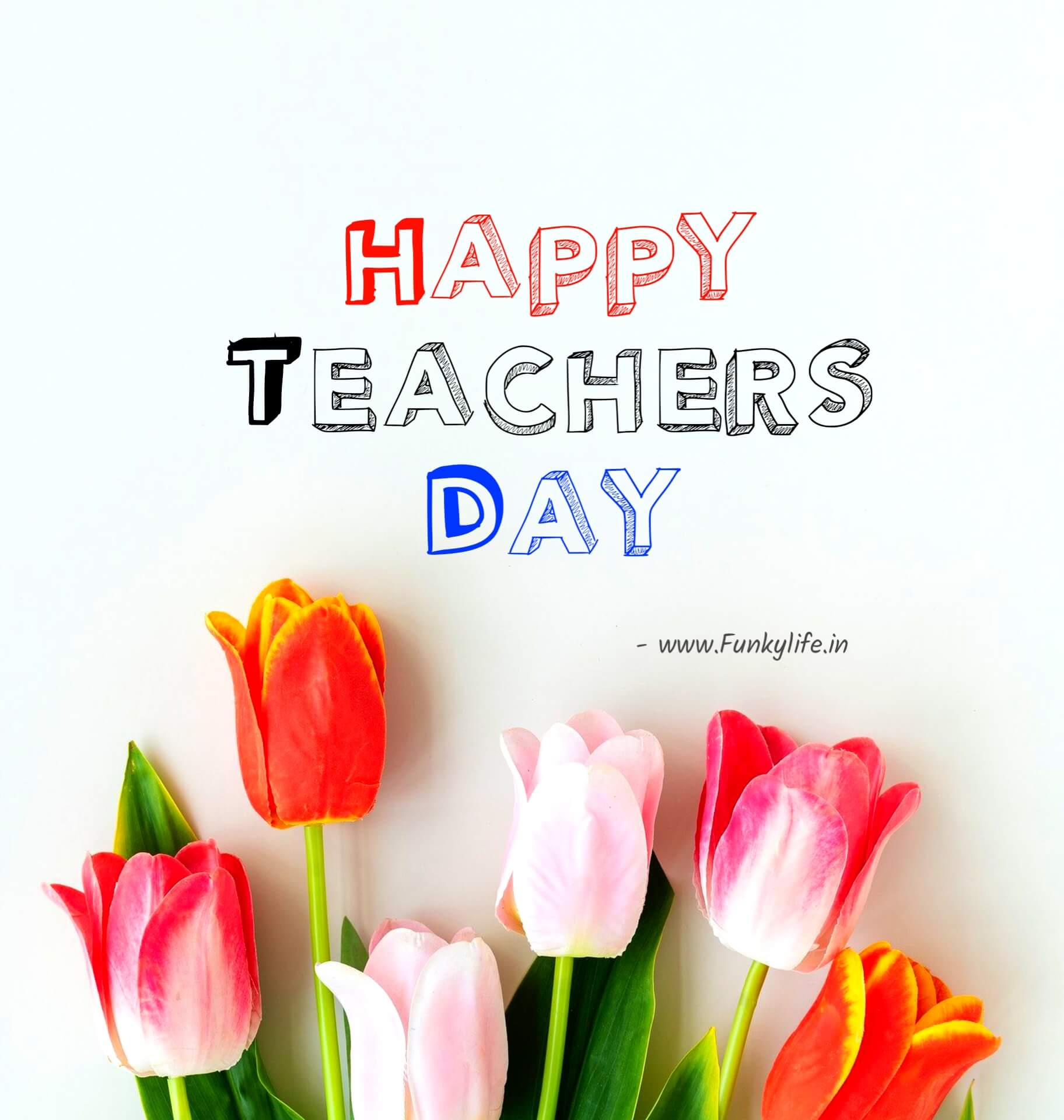 Beautiful Happy Teachers Day Flowers Pic