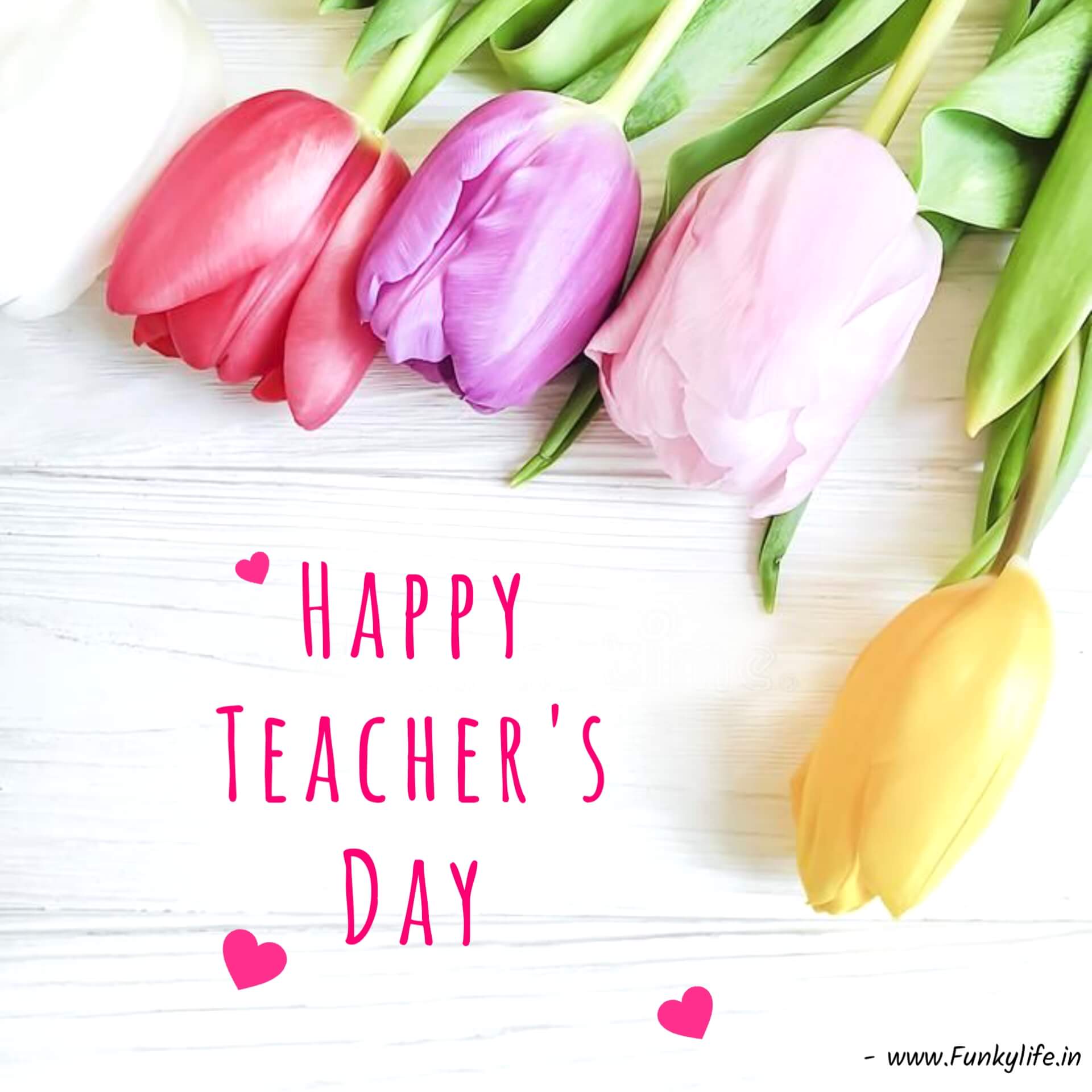 Beautiful Happy Teachers Day Flower Pic