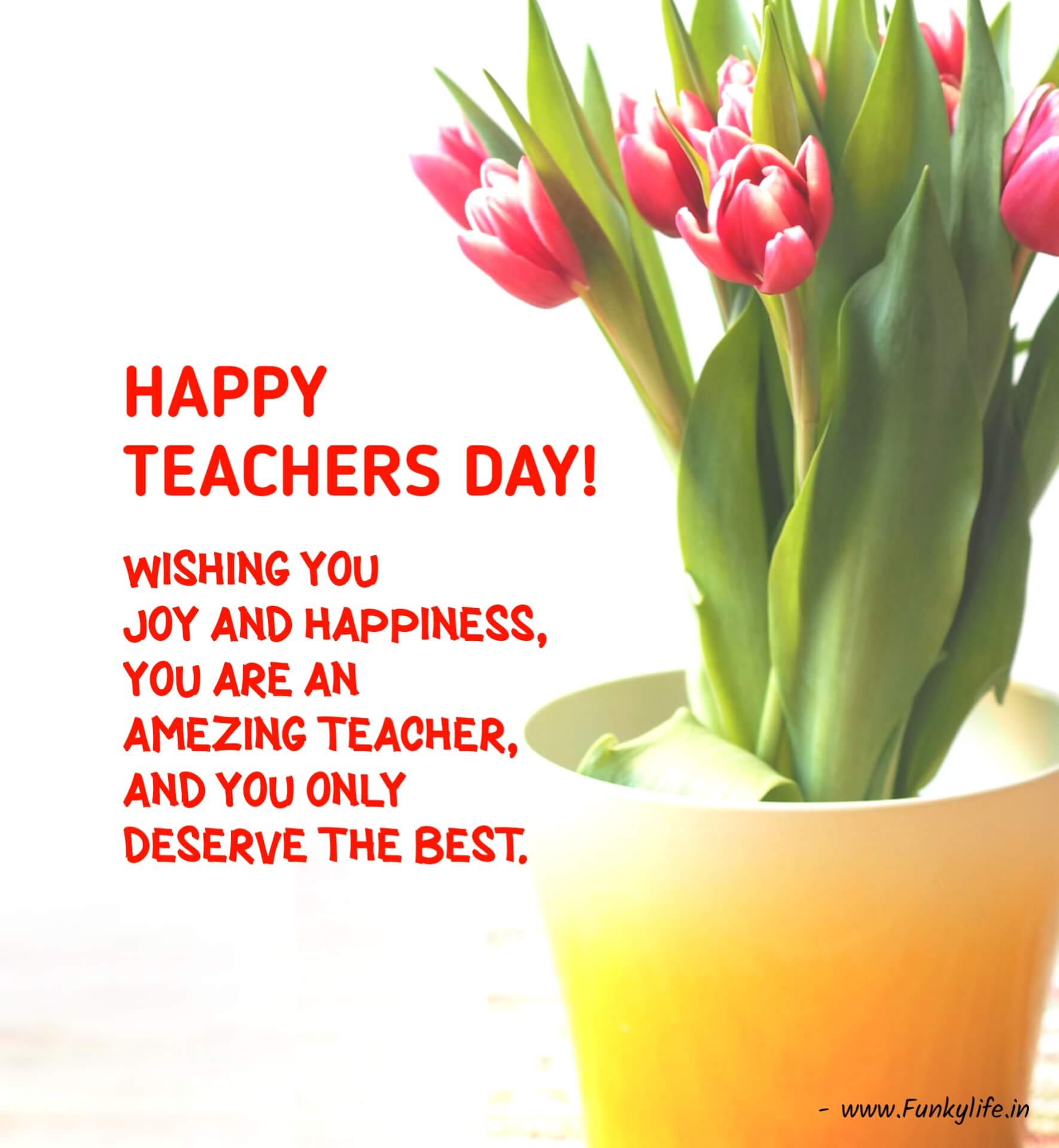 Happy Teachers Day Wishes Quotes
