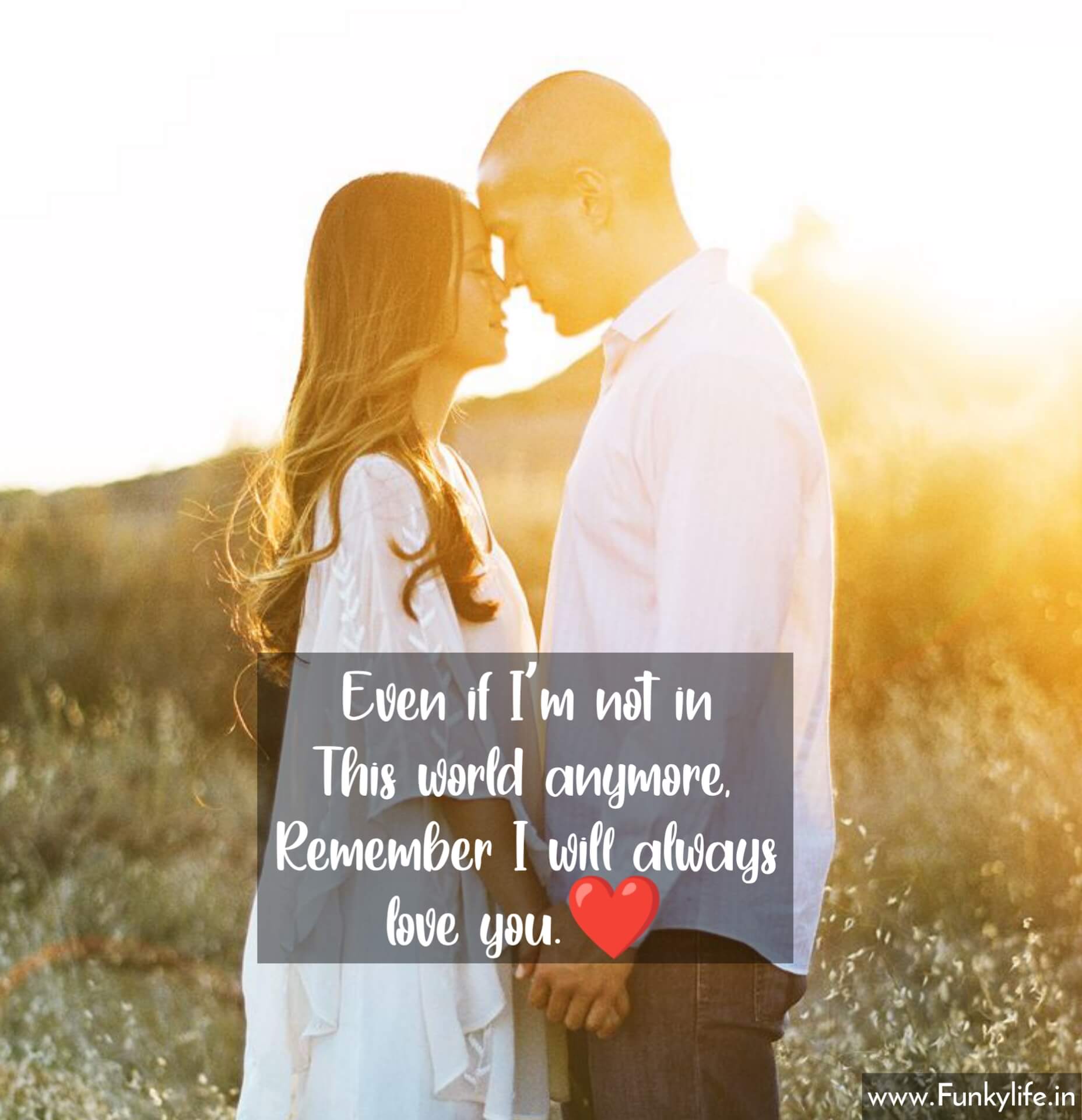 250 Beautiful Love Quotes For All In English Funky Life