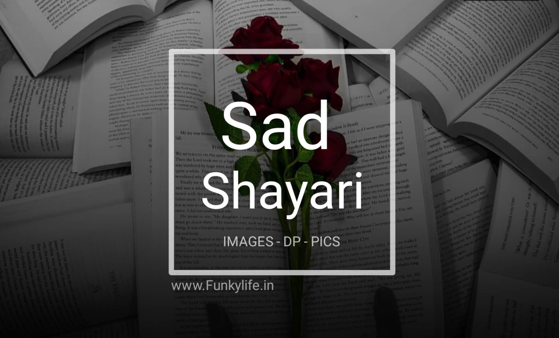 Sad Shayari with Images