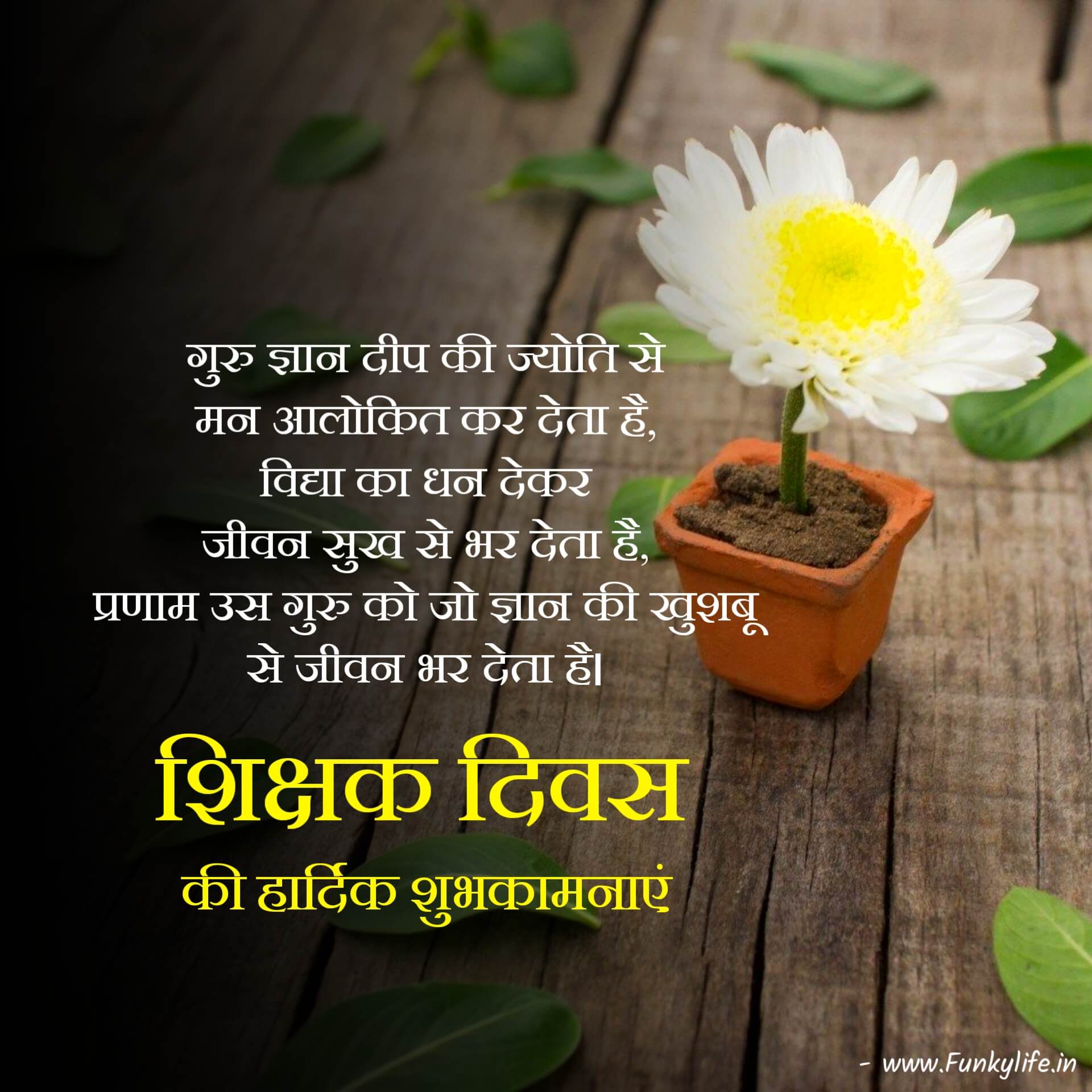 Teachers Day Wishes in Hindi Image