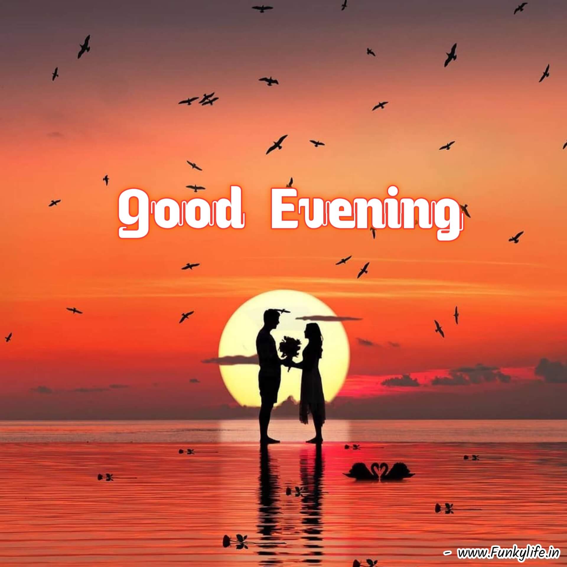 Lovely Good Evening Image