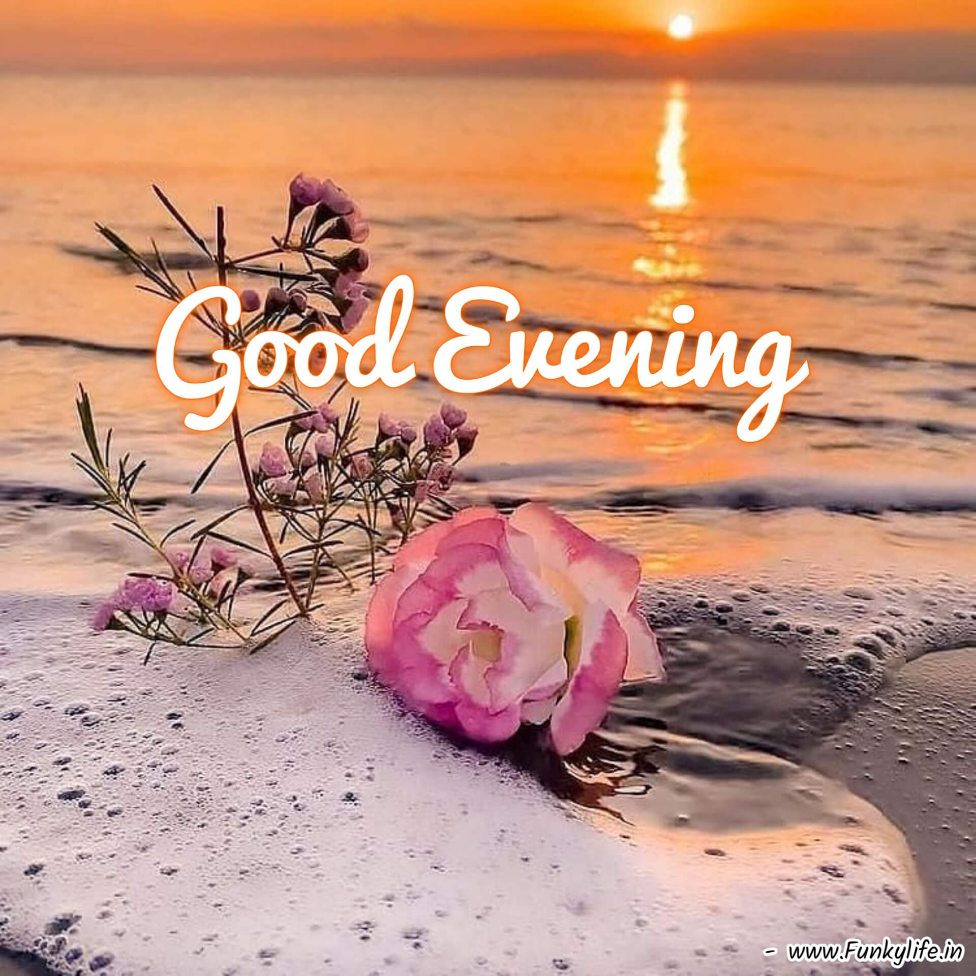 Good Evening Wishes Image