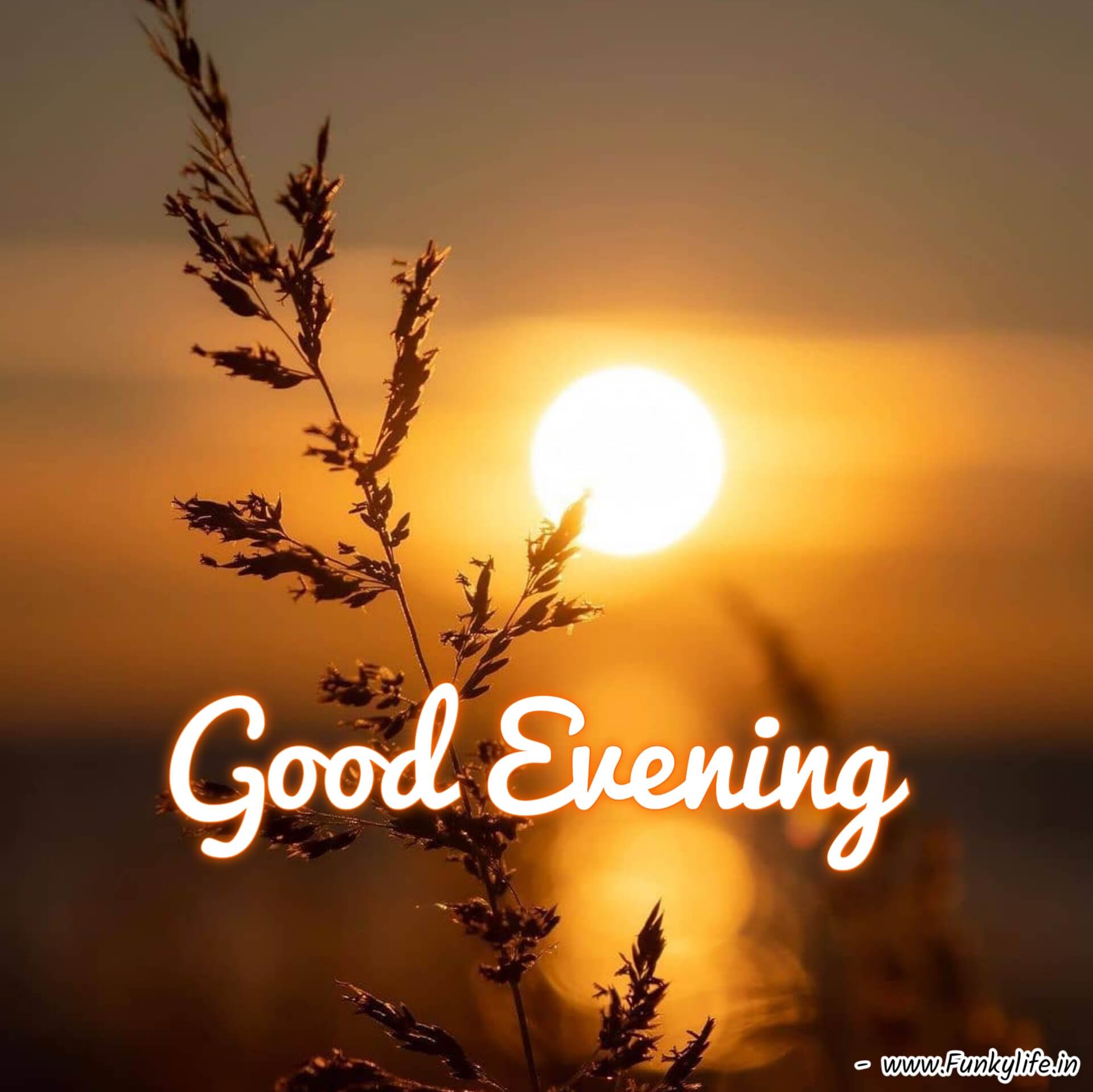 New Good Evening Images