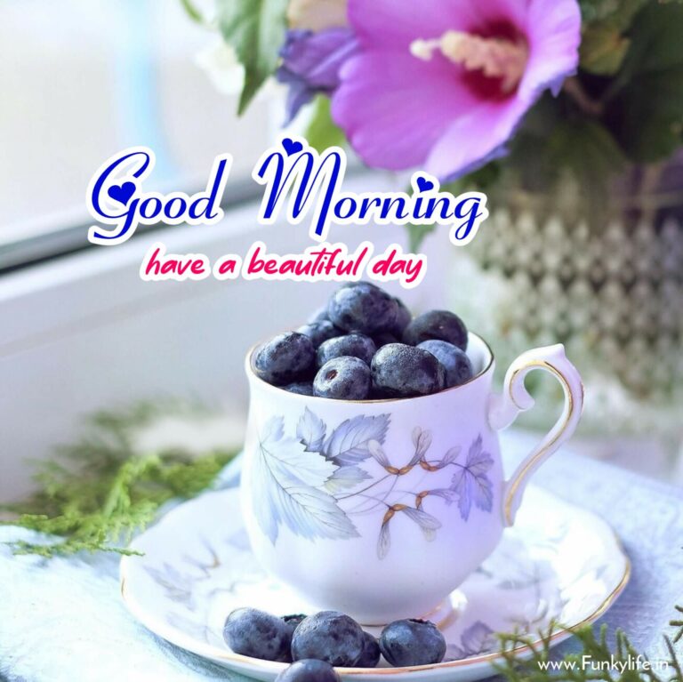 250+ Good Morning Images, Pictures & Beautiful Morning Wishes 2021