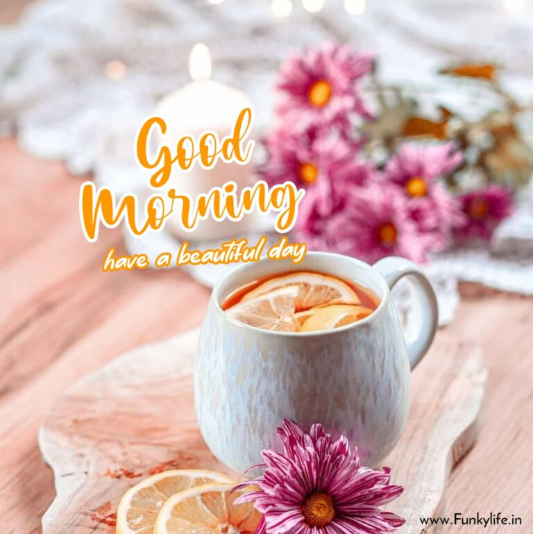 250+ Good Morning Images, Pictures & Beautiful Morning Wishes 2021