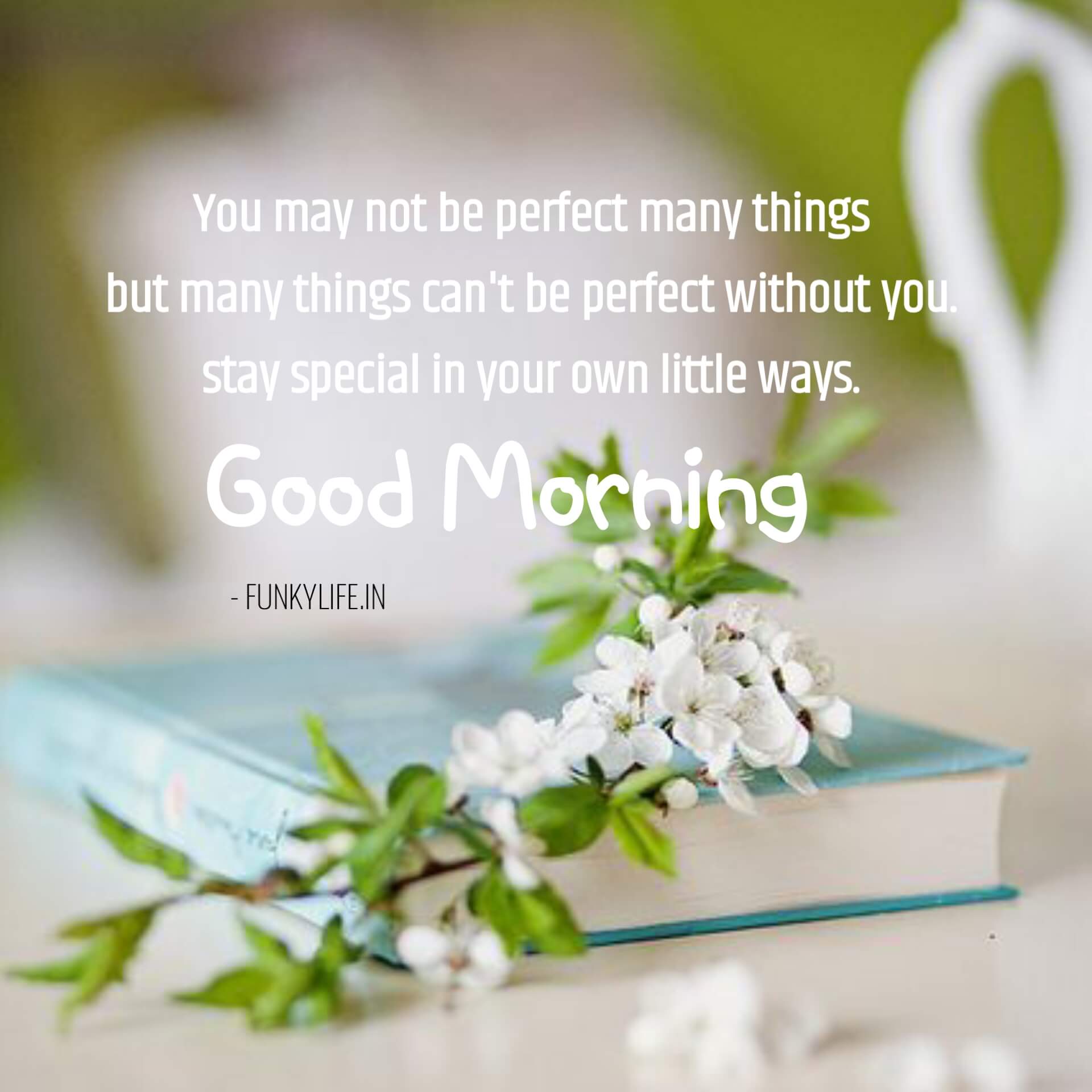 160 Best Good Morning Quotes And Wishes Funky Life