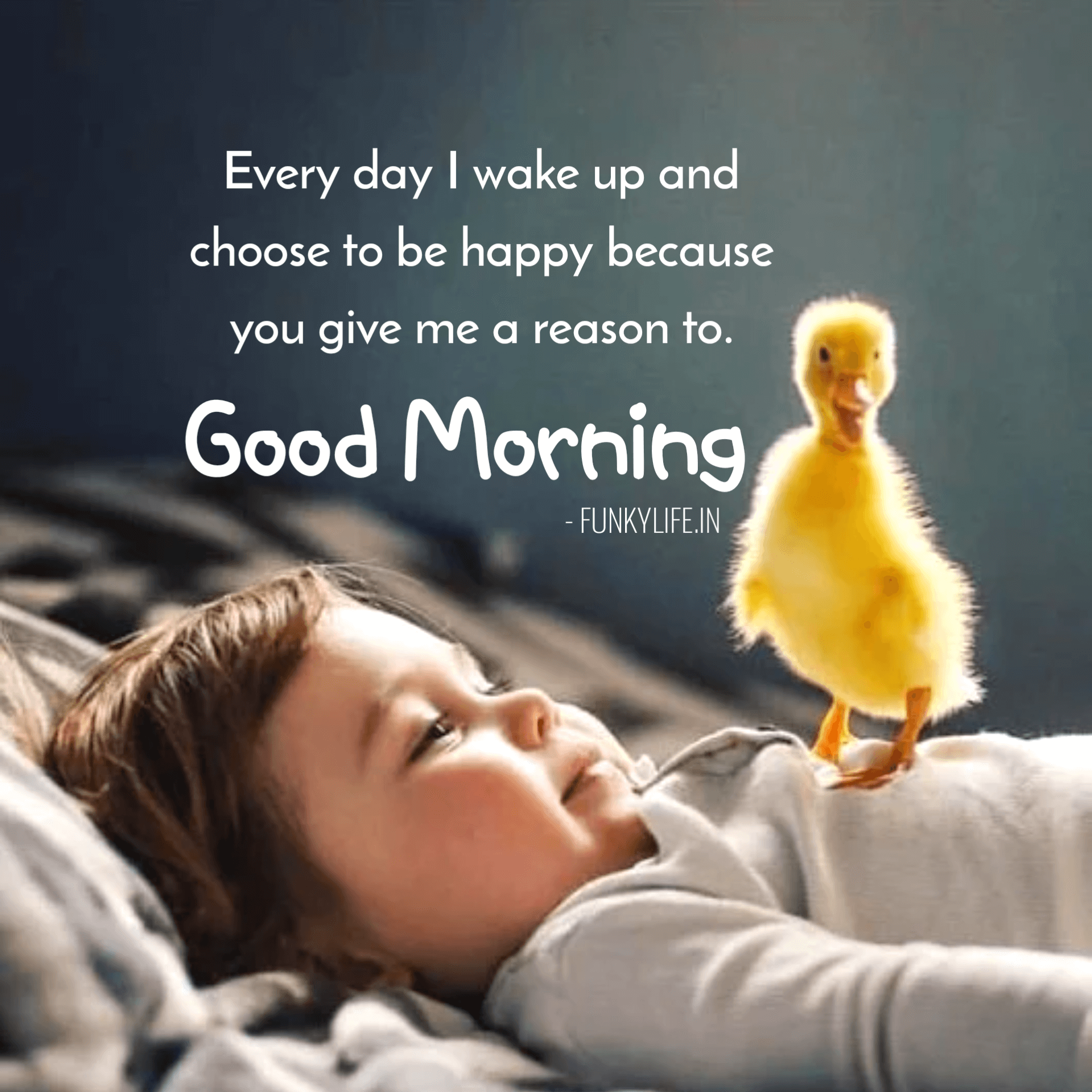 Best Good Morning Quotes With Images