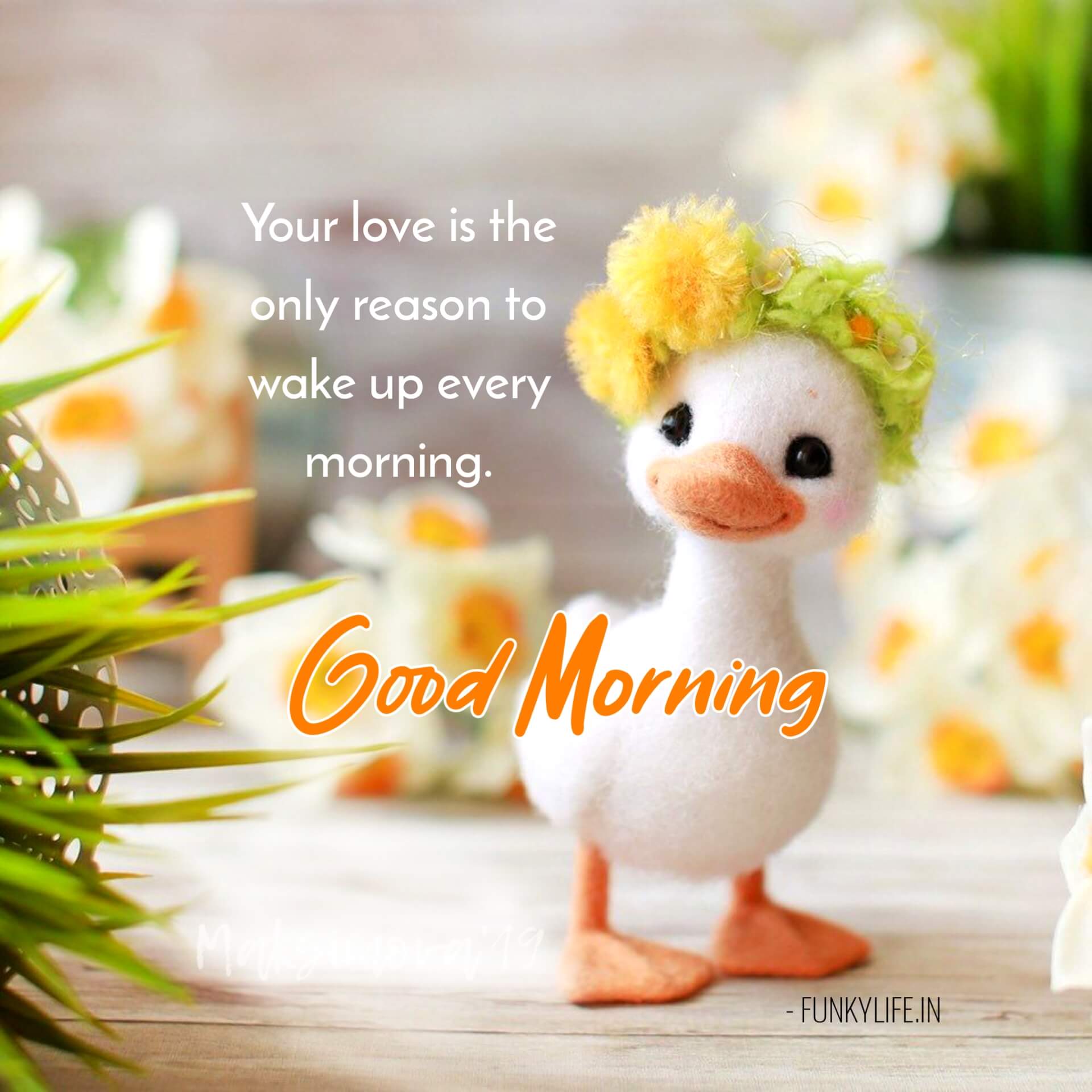 160+ Best Good Morning Quotes and Wishes Funky Life