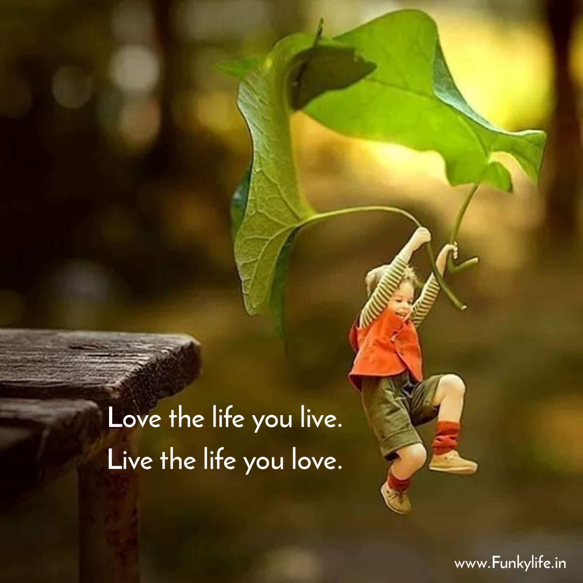 Love Life Quotes in English