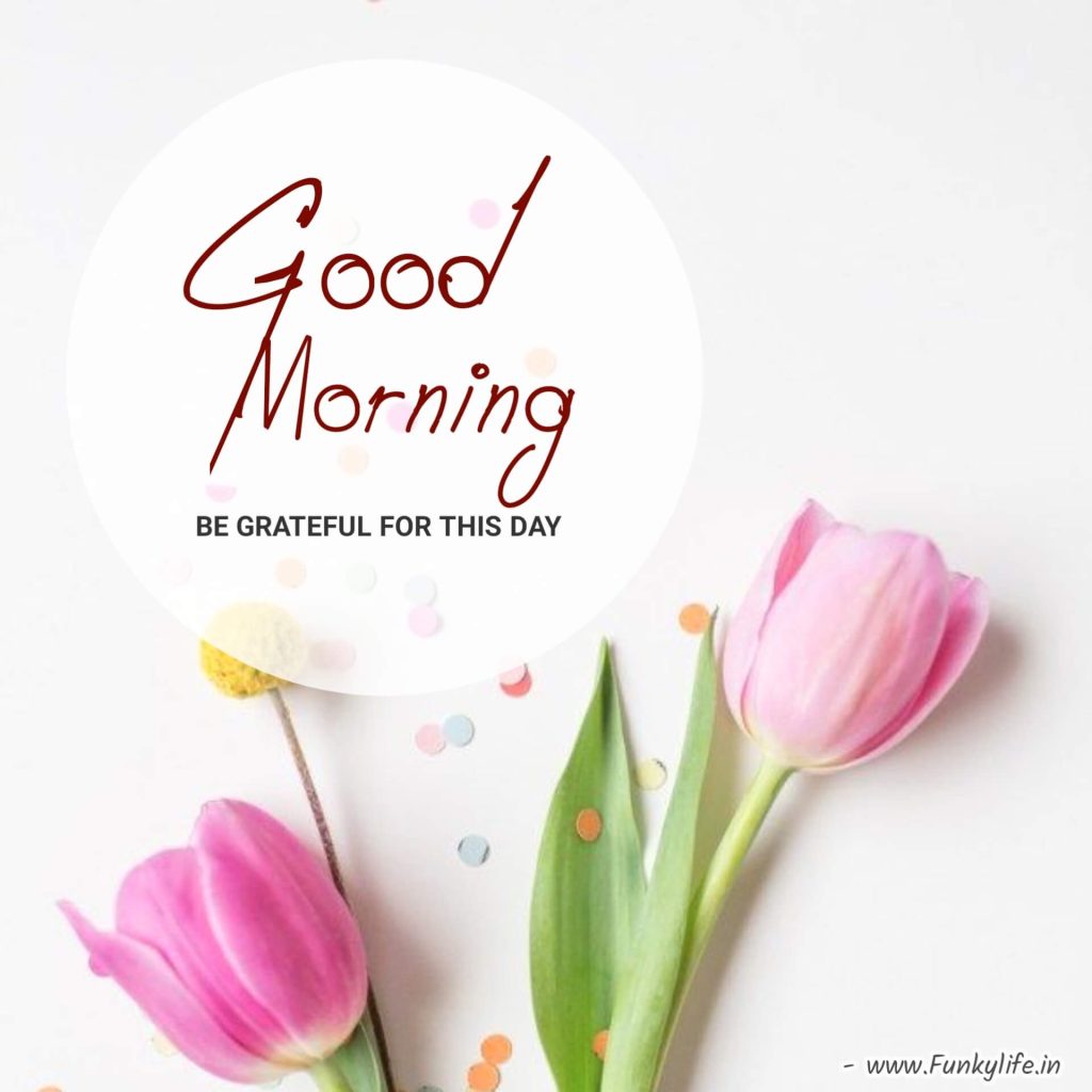 120+ BEST Good Morning Wishes & Messages 2023 - Funky Life