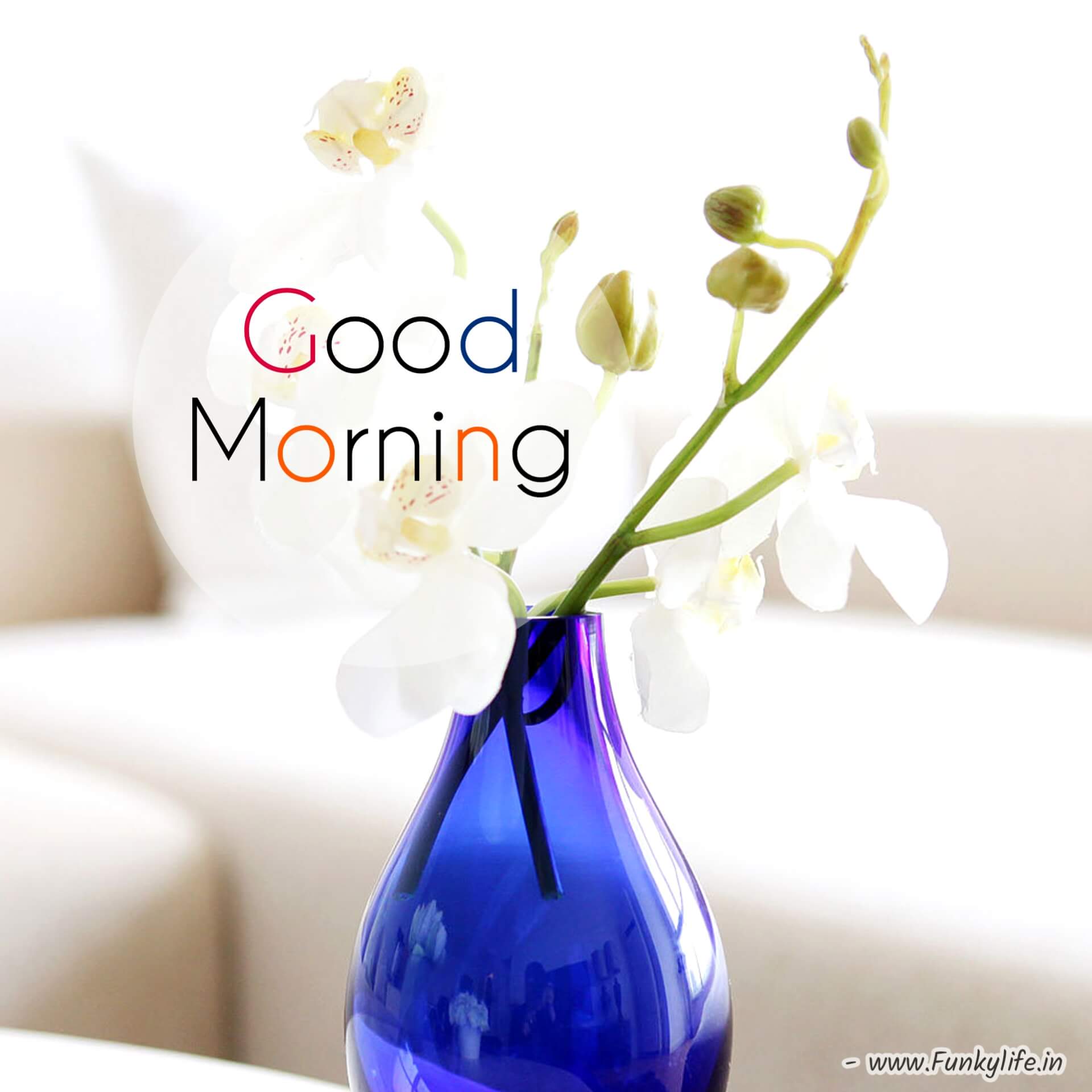 Simple HD Good Morning Wishes