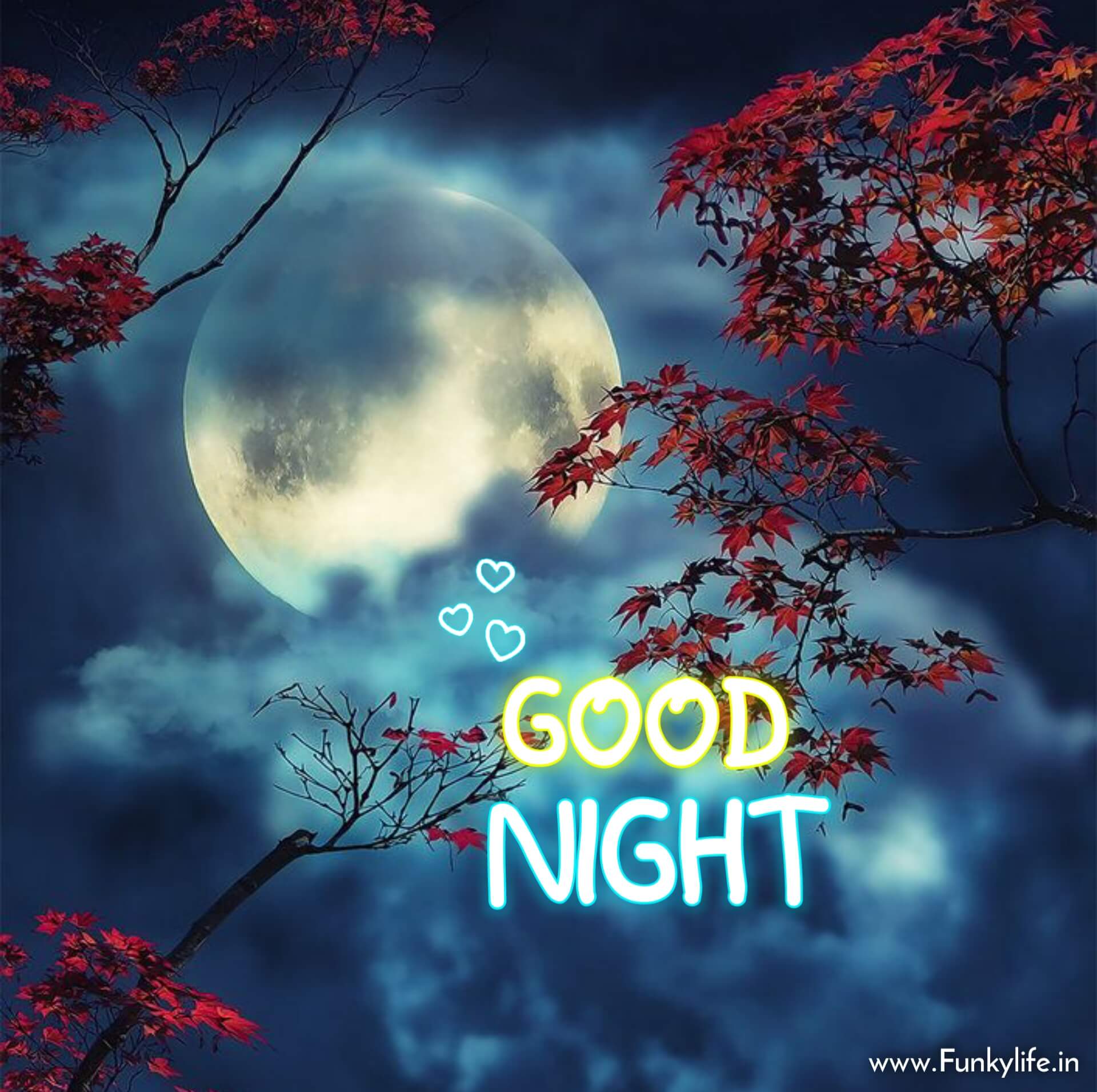 Special Good Night Images