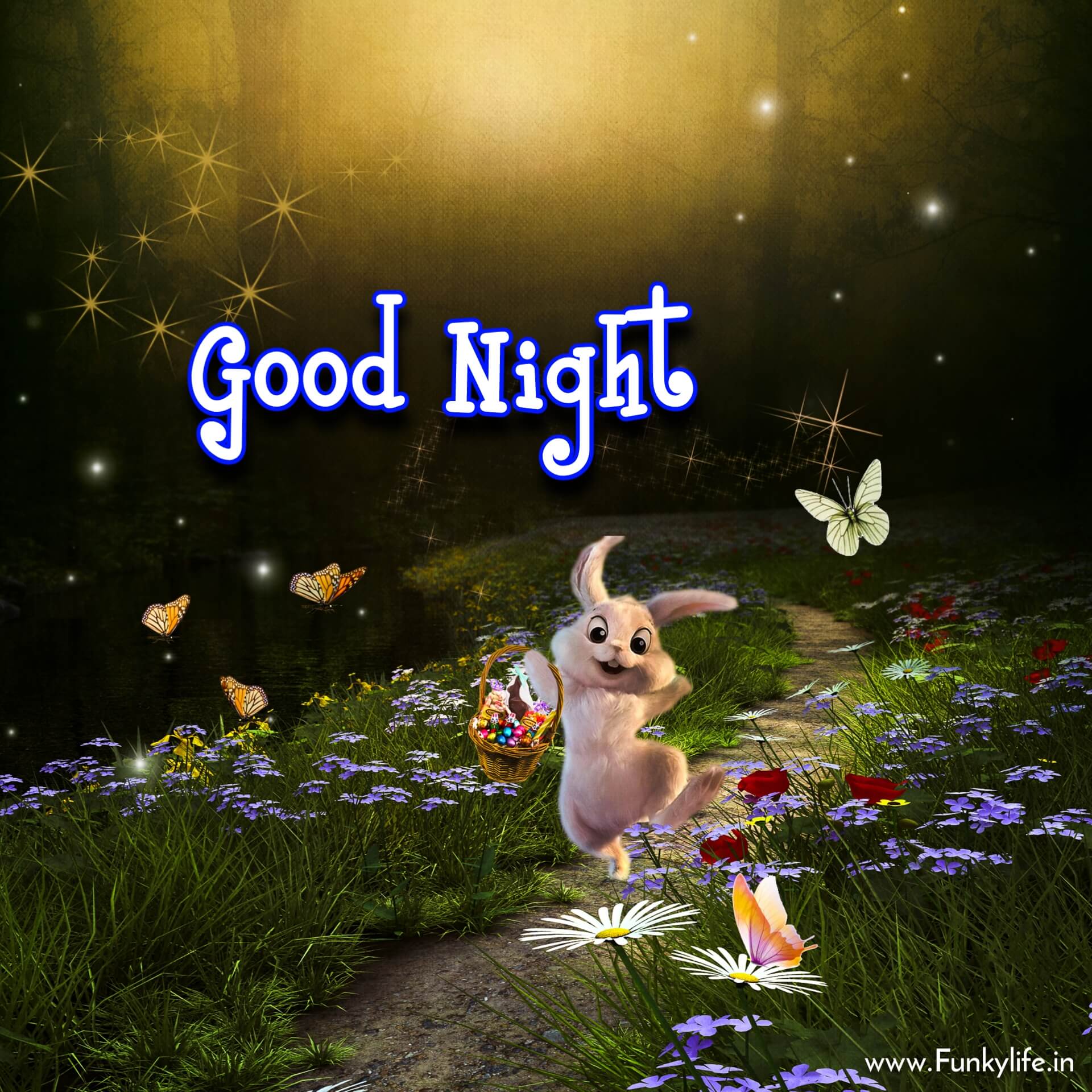 Happy Good Night Images