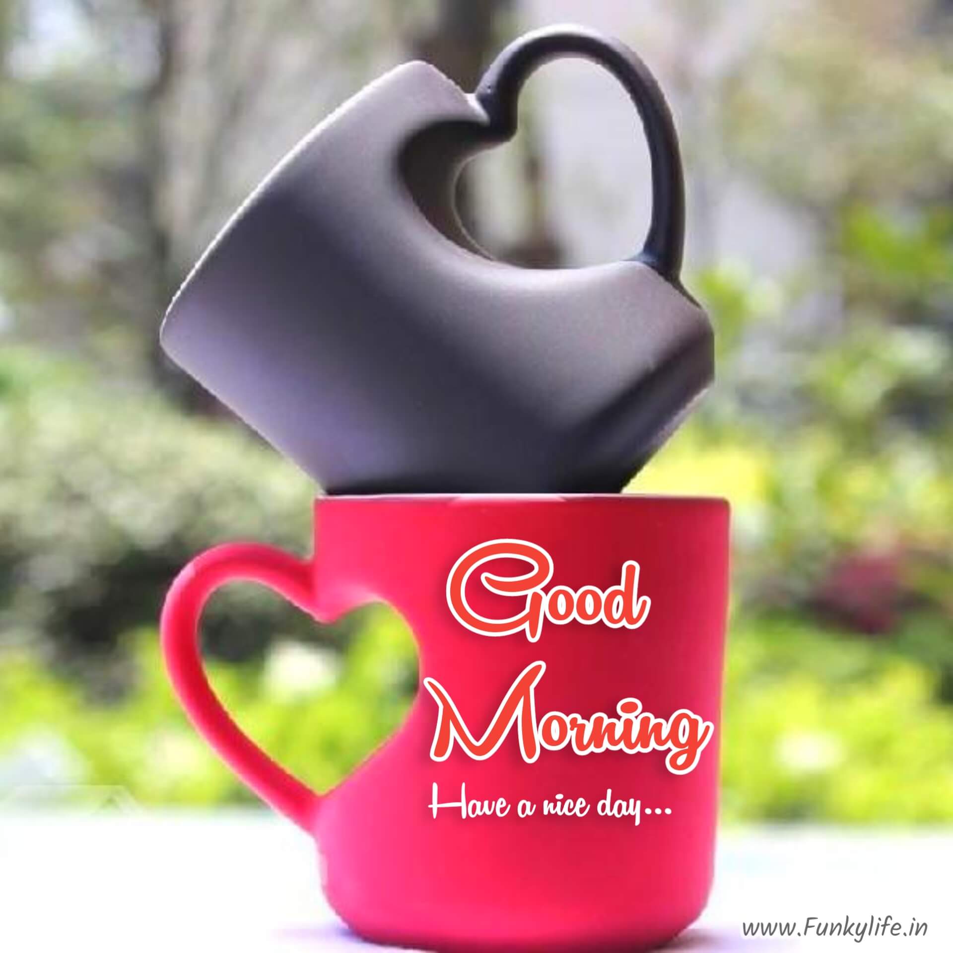 Coffee Mug Good Morning Images
