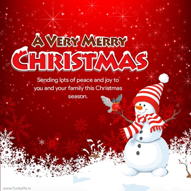 120+ BEST Merry Christmas Wishes and Messages - Funky Life