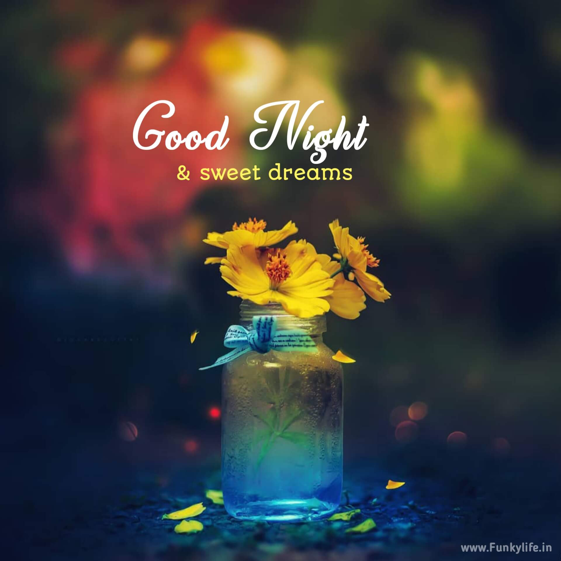 Good Night Wishes Image