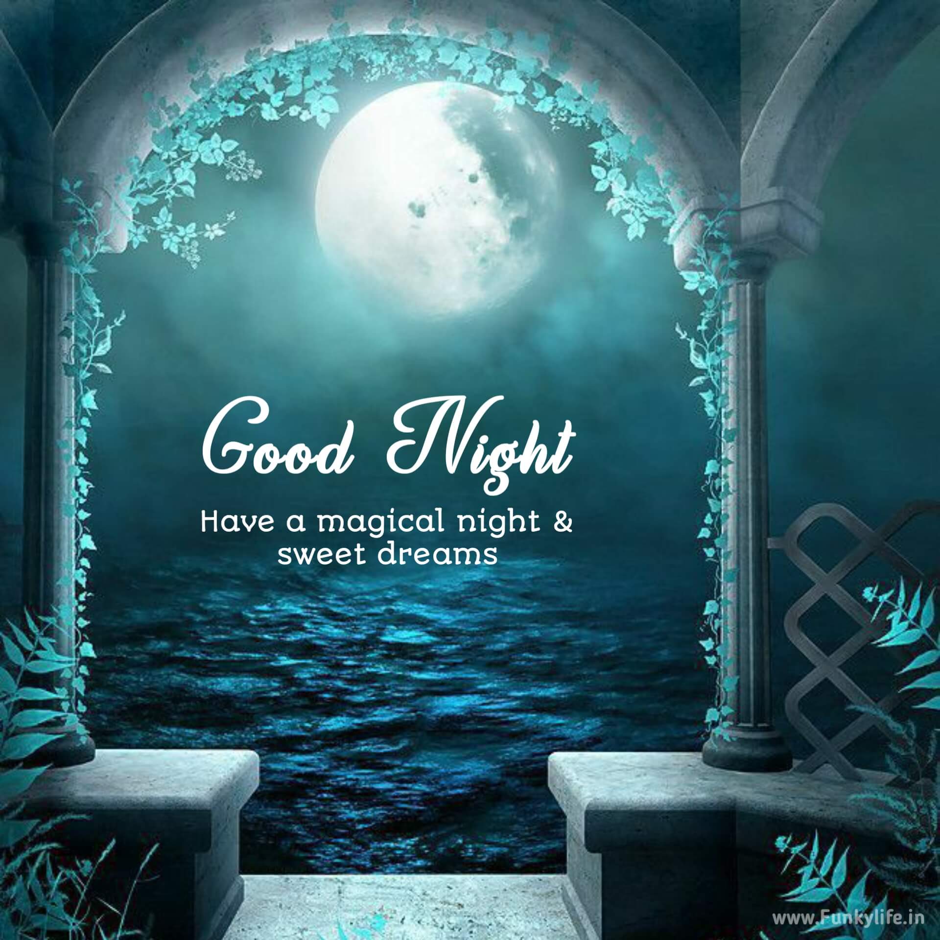 Good Night Wishes Image